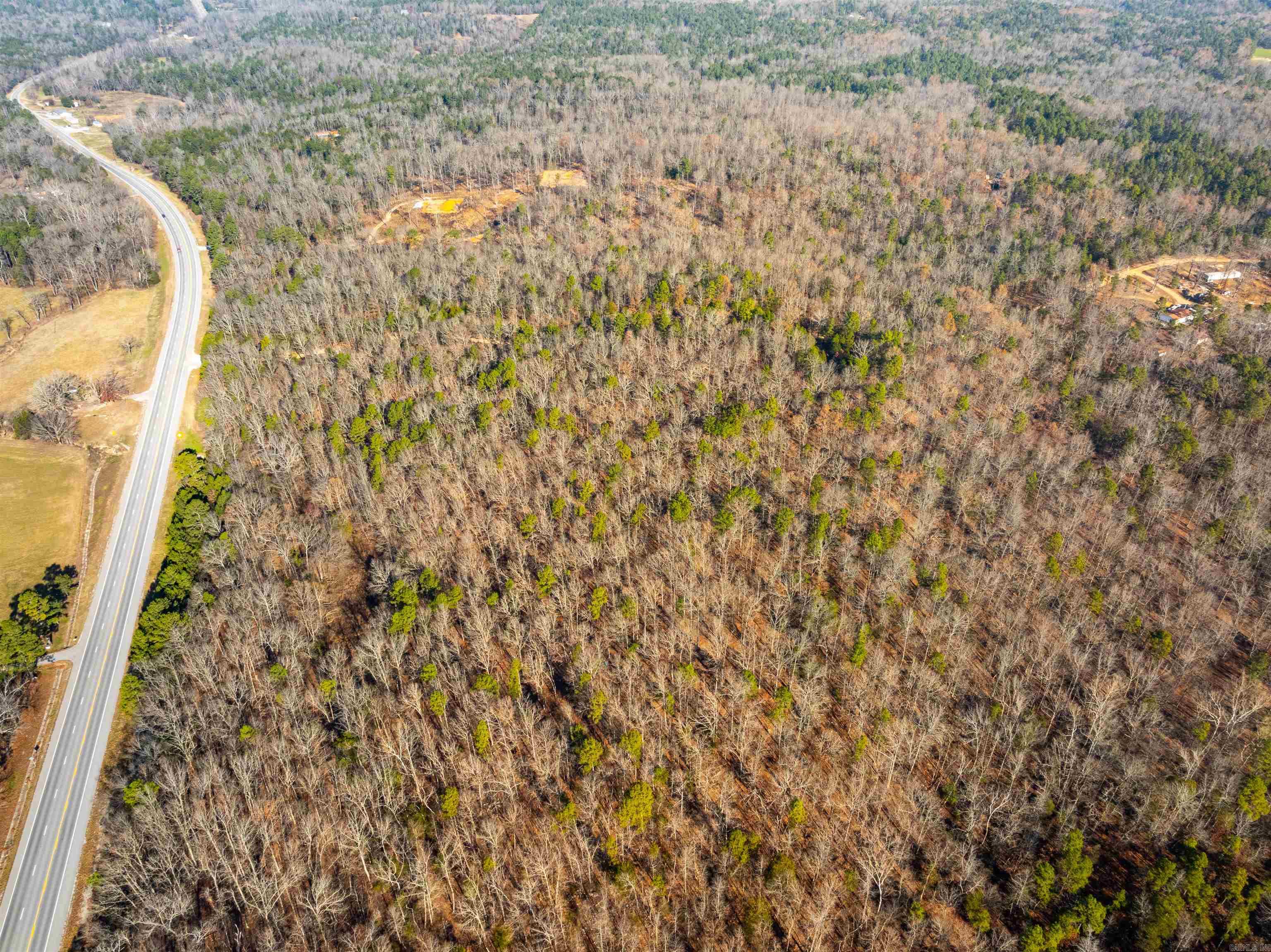 Photo 22 - Vacant Land for sale – 0  Hancock lane / Hwy. 167   Evening Shade, AR