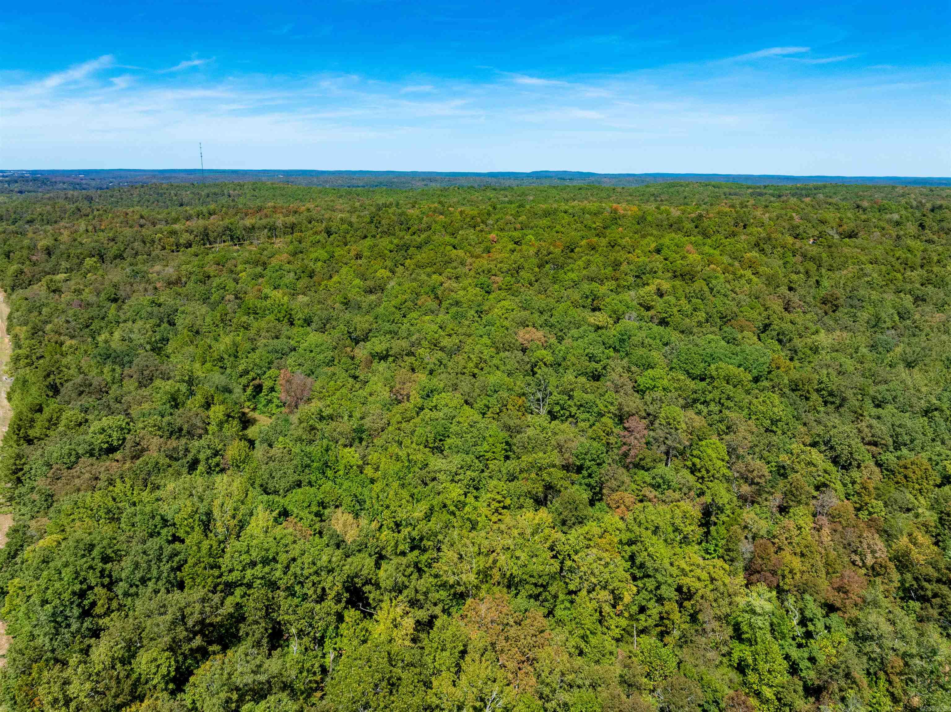 Photo 28 - Vacant Land for sale – 0  Hancock lane / Hwy. 167   Evening Shade, AR