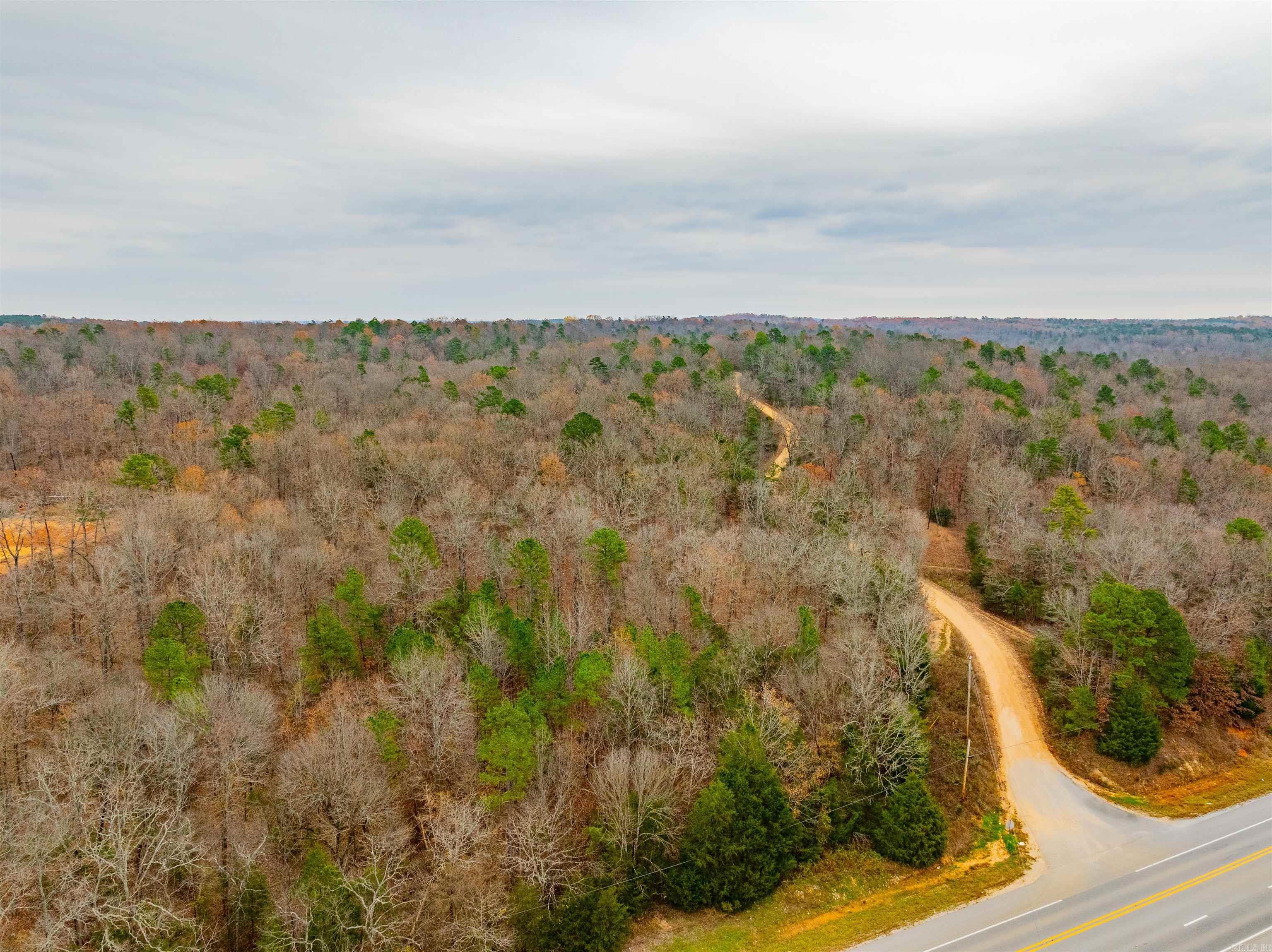 Photo 5 - Vacant Land for sale – 0  Hancock lane / Hwy. 167   Evening Shade, AR