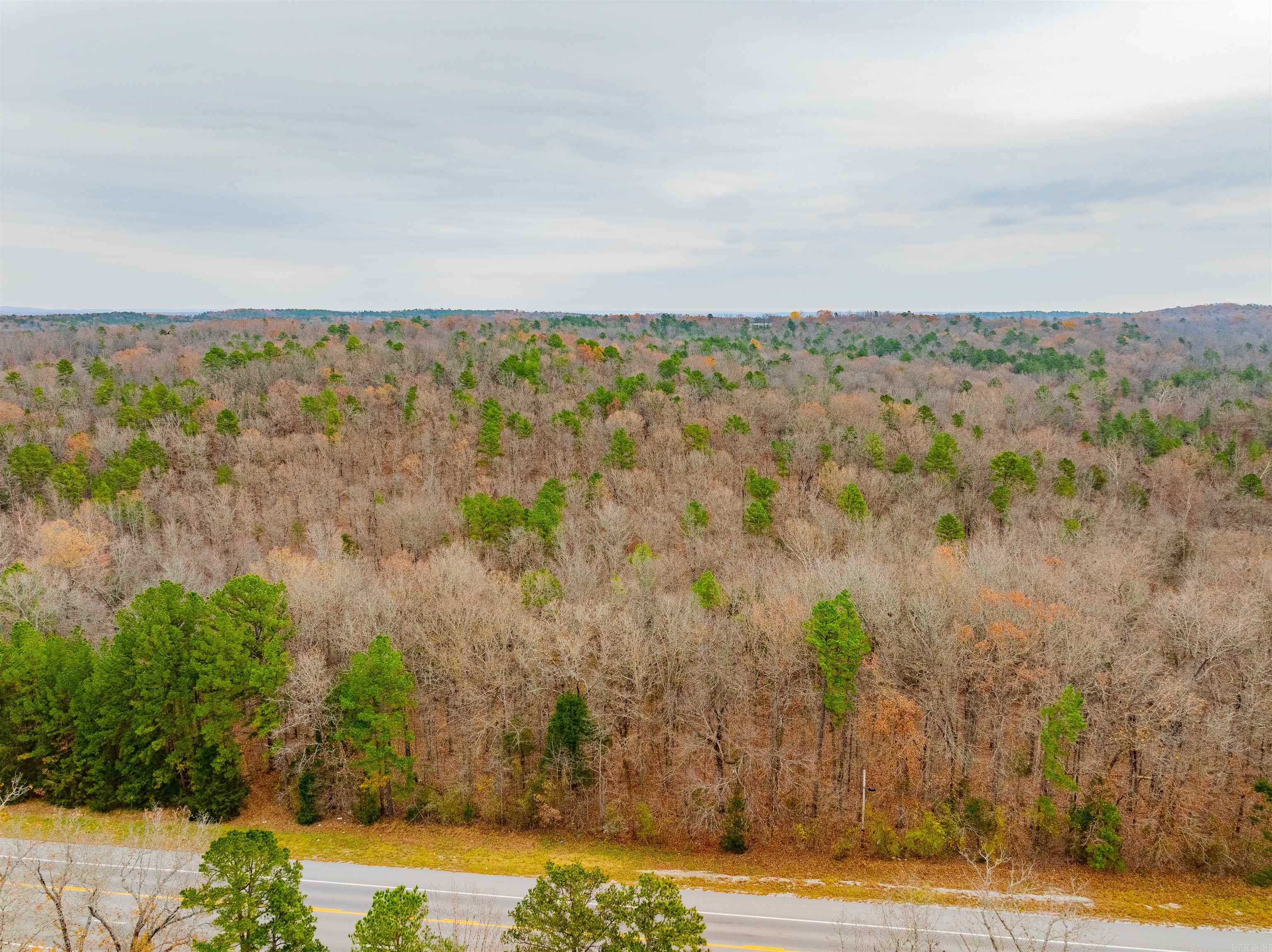 Photo 7 - Vacant Land for sale – 0  Hancock lane / Hwy. 167   Evening Shade, AR