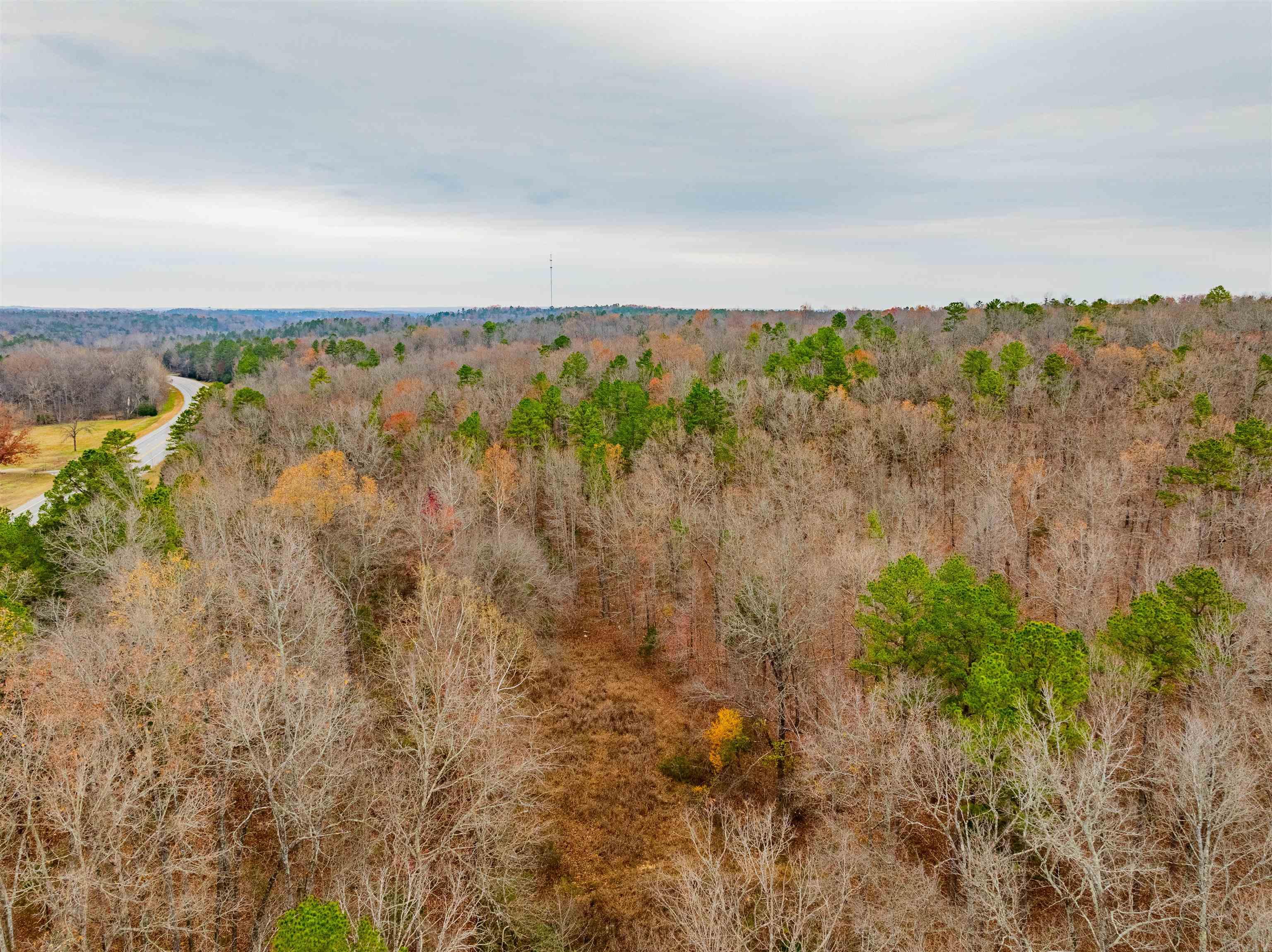 Photo 8 - Vacant Land for sale – 0  Hancock lane / Hwy. 167   Evening Shade, AR