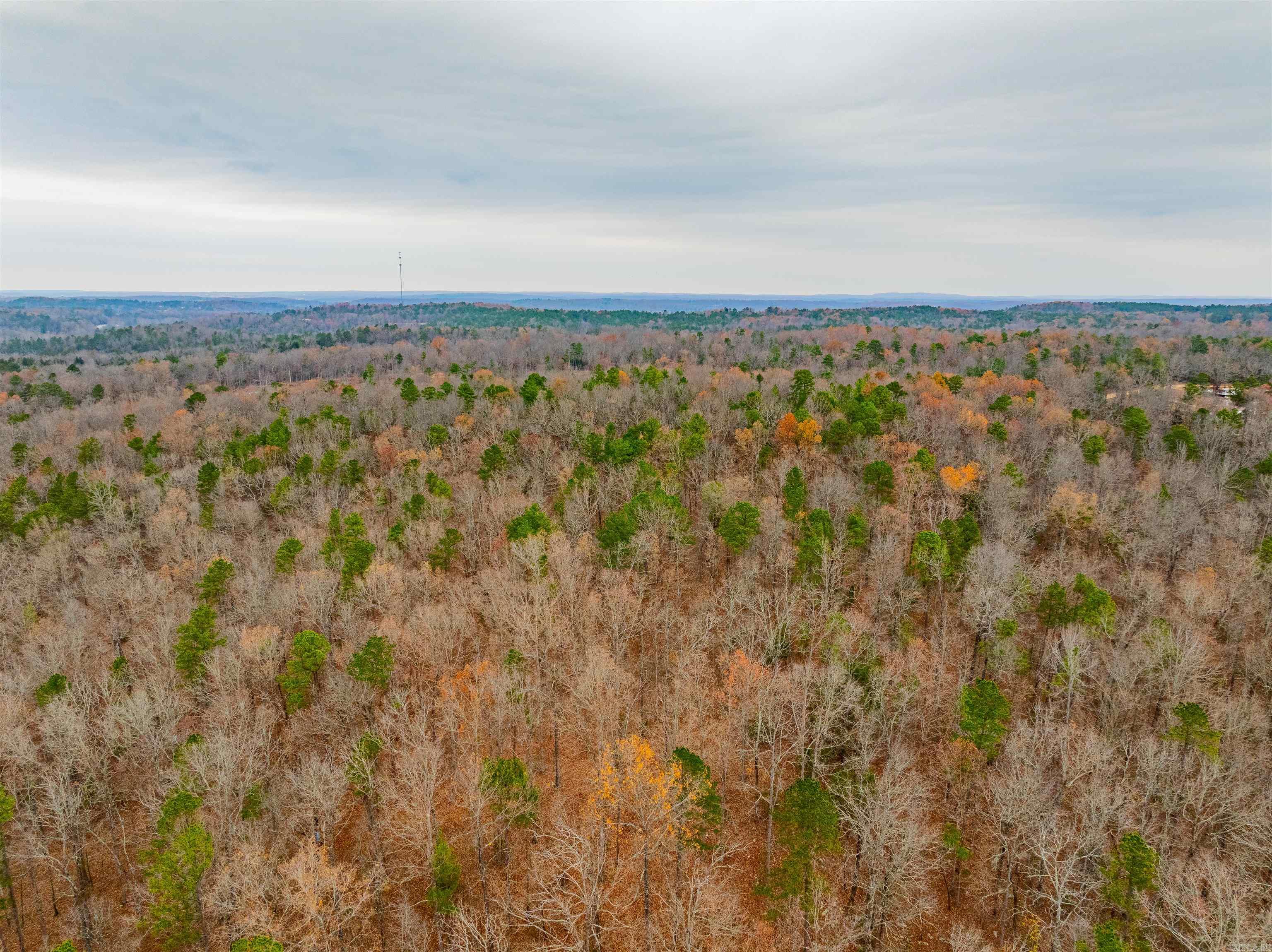 Photo 9 - Vacant Land for sale – 0  Hancock lane / Hwy. 167   Evening Shade, AR