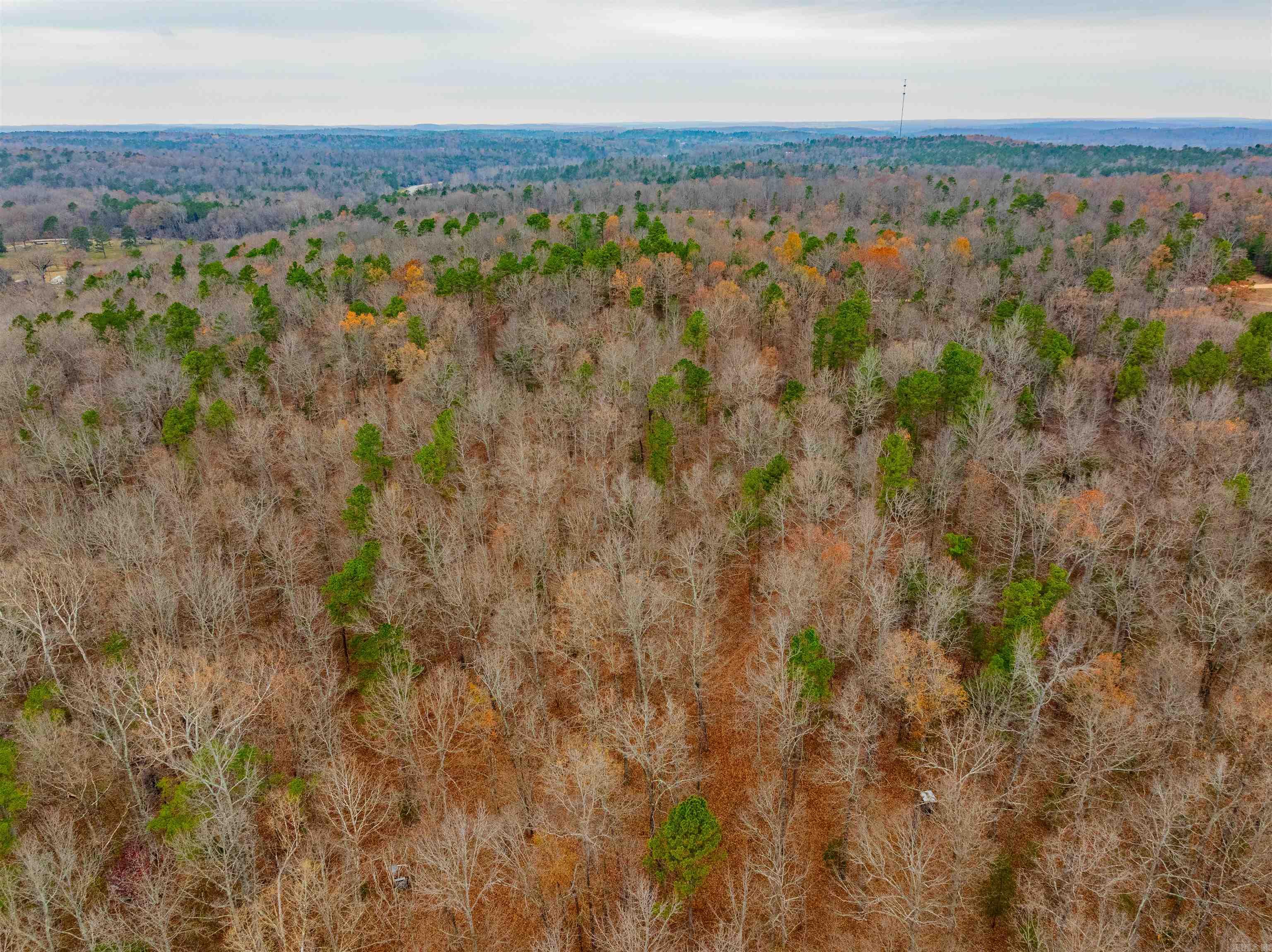 Photo 10 - Vacant Land for sale – 0  Hancock lane / Hwy. 167   Evening Shade, AR