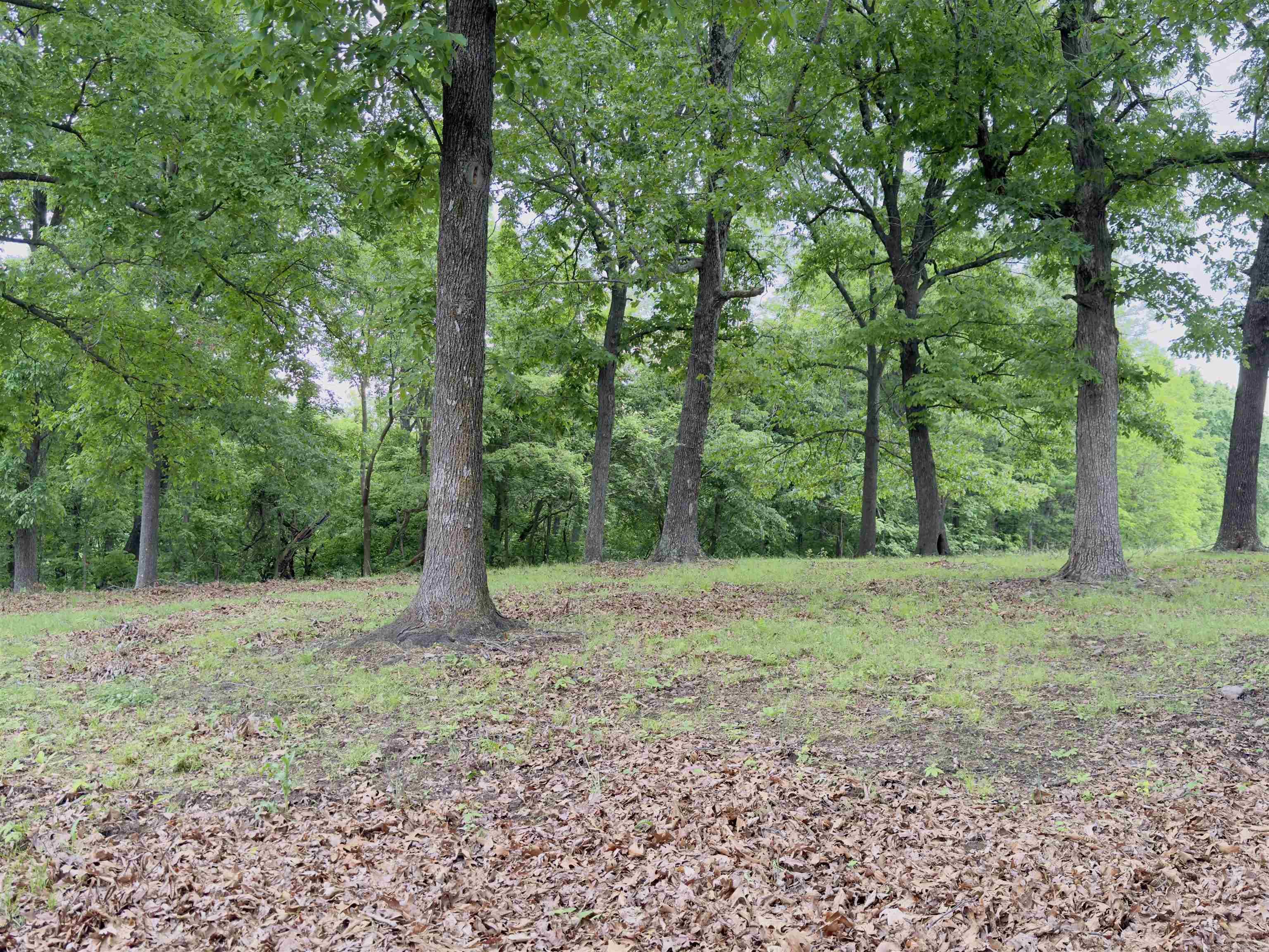 Photo 25 - Residential for sale – 1168  Love Hollow   Mount Pleasant, AR