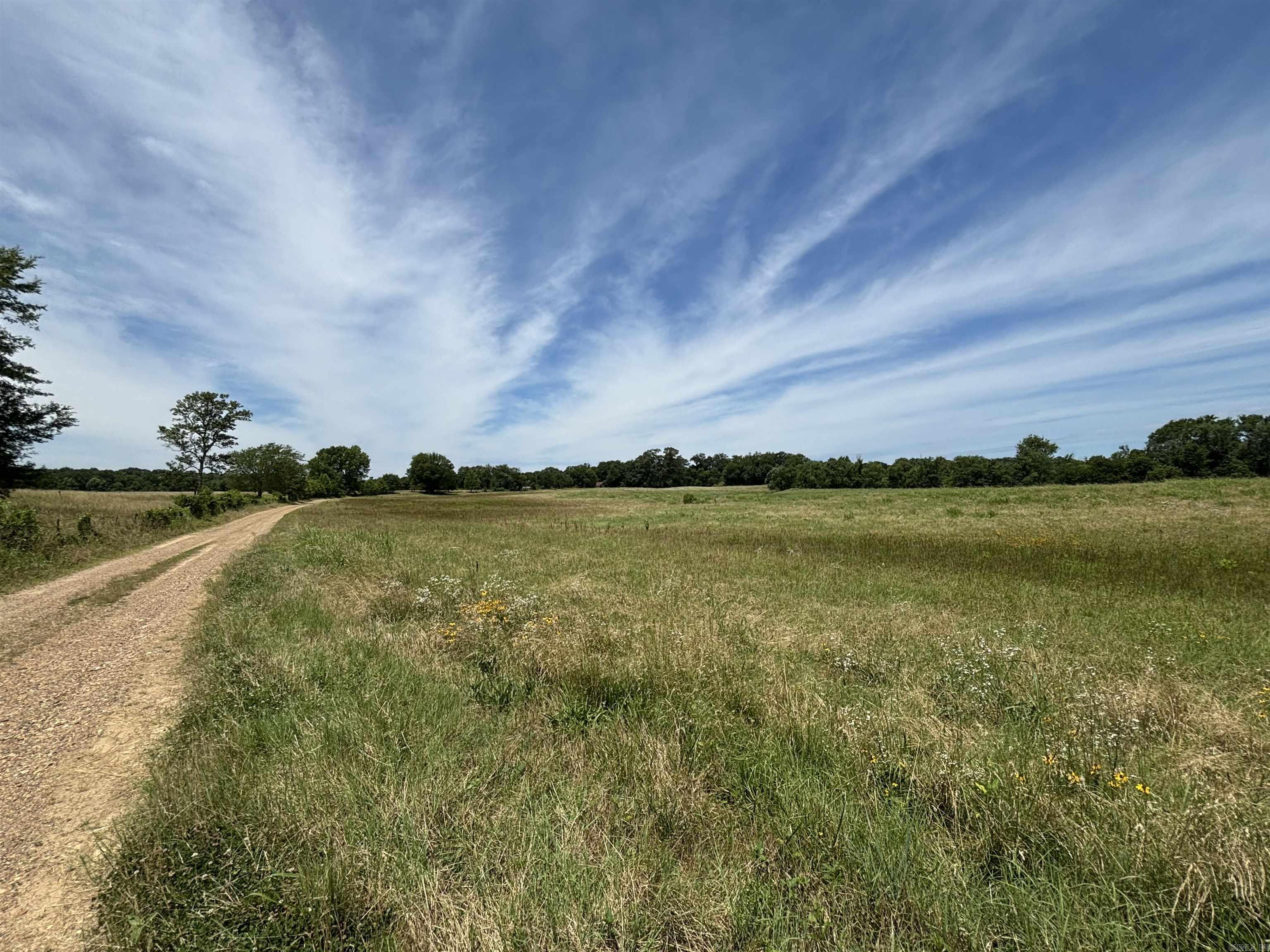Photo 21 - Vacant Land for sale – 3030  Countness Road   Friendship, AR