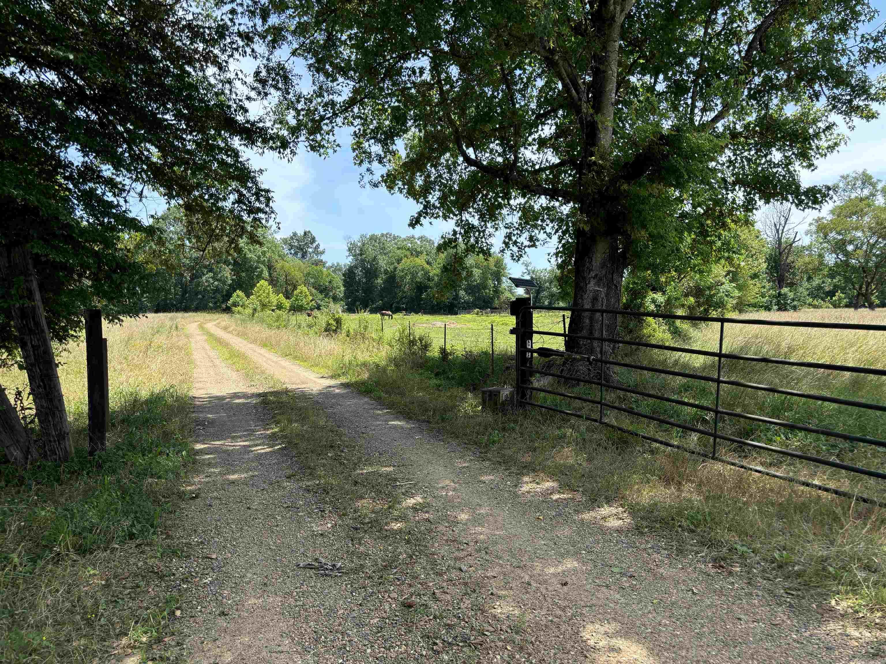 Photo 4 - Vacant Land for sale – 3030  Countness Road   Friendship, AR