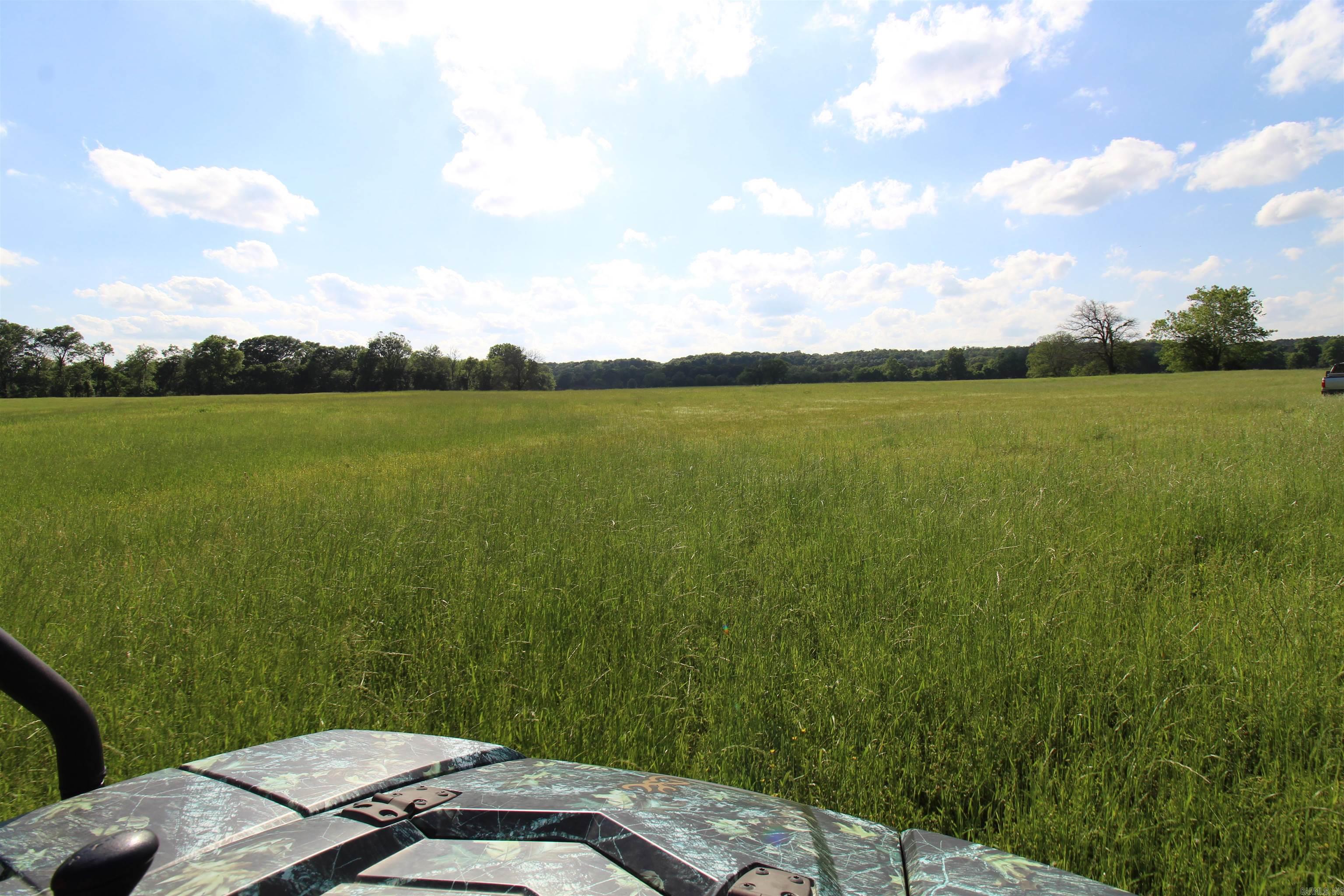 Photo 7 - Vacant Land for sale – 3030  Countness Road   Friendship, AR