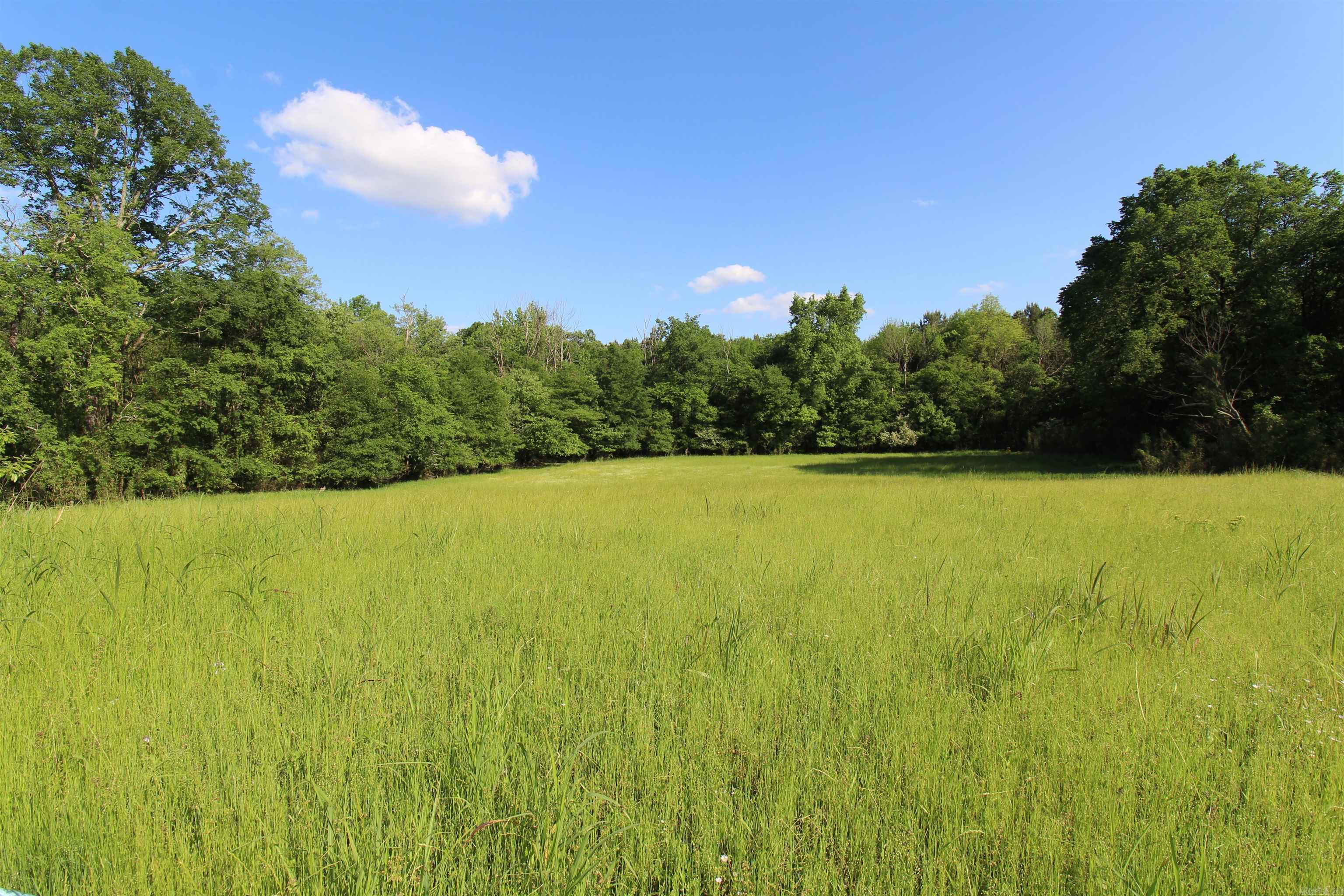 Photo 8 - Vacant Land for sale – 3030  Countness Road   Friendship, AR