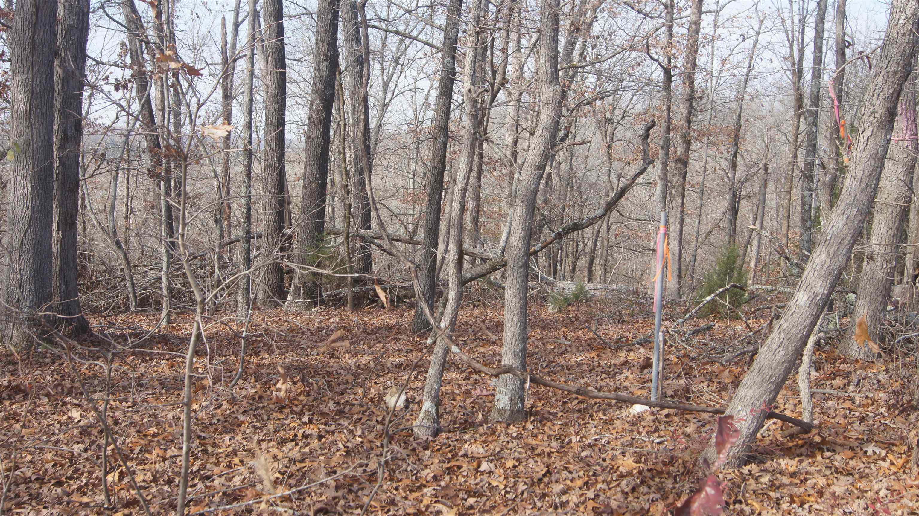Photo 5 - Vacant Land for sale – TBD  Hwy 63 N   Hardy, AR