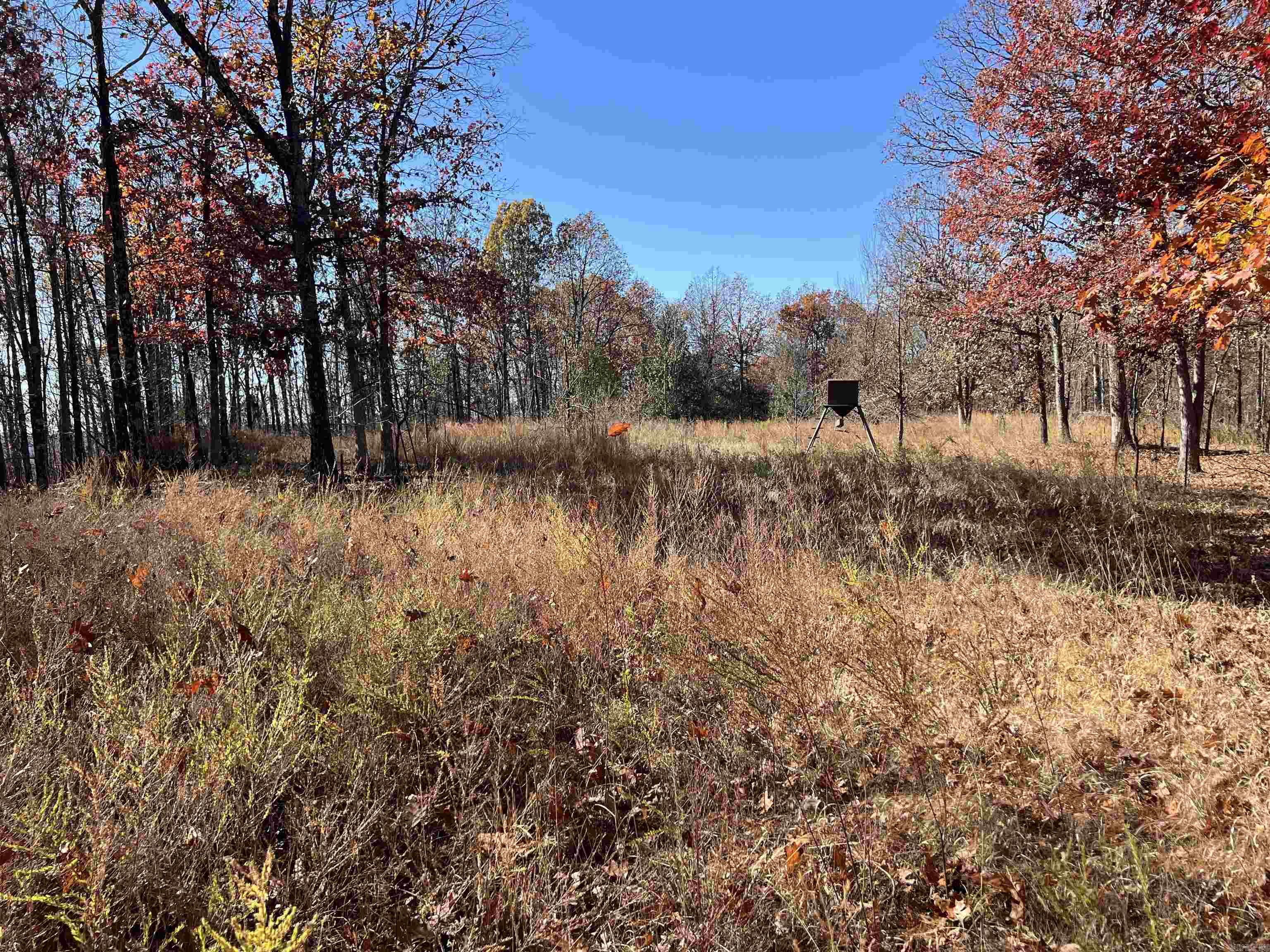 Photo 11 - Vacant Land for sale – 566  Bethany   Ravenden Springs, AR