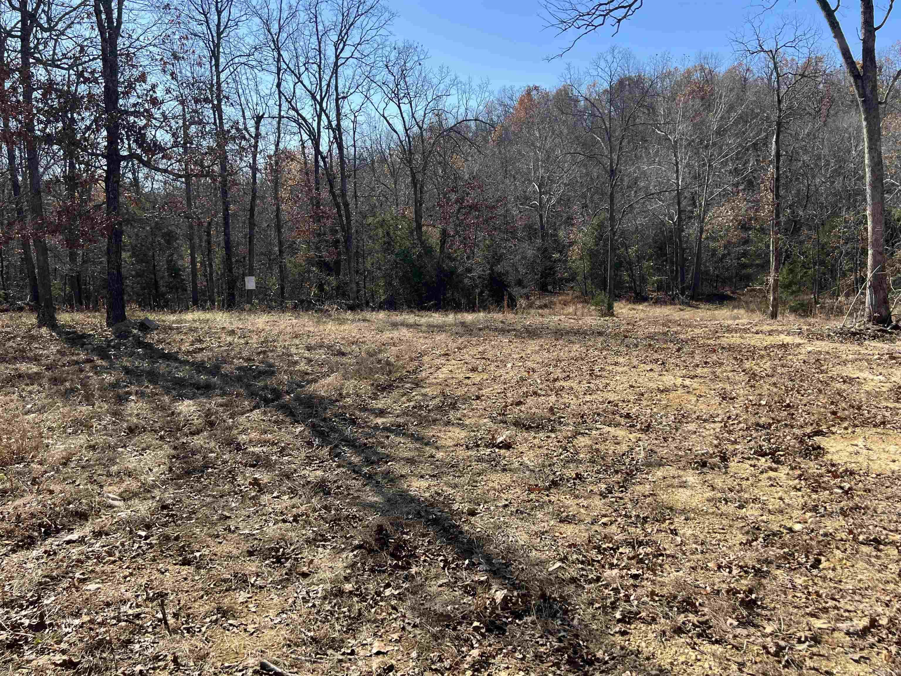 Photo 12 - Vacant Land for sale – 566  Bethany   Ravenden Springs, AR