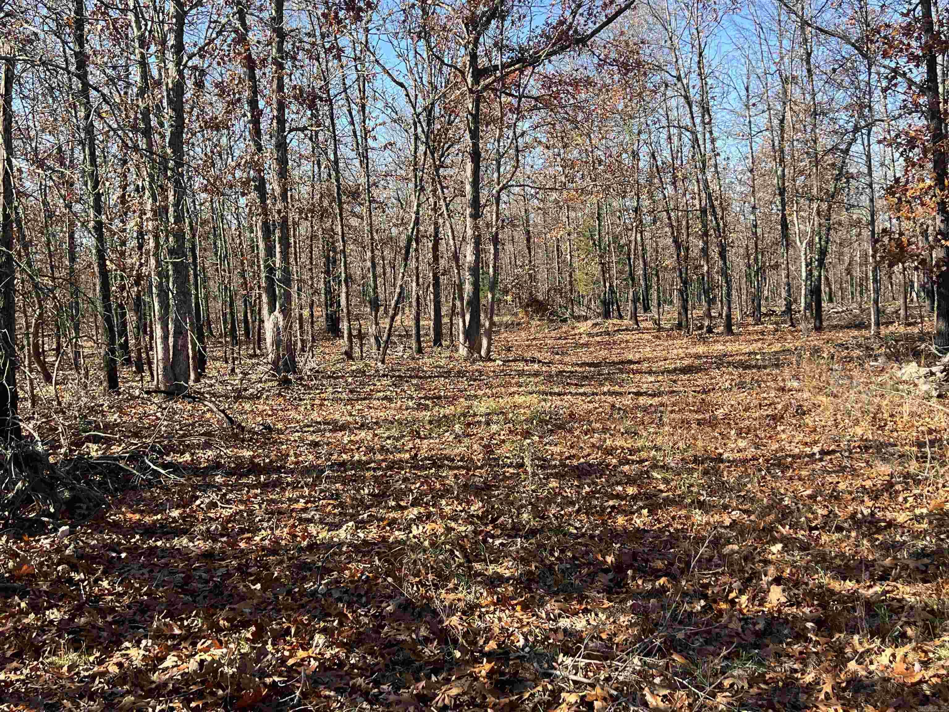 Photo 13 - Vacant Land for sale – 566  Bethany   Ravenden Springs, AR