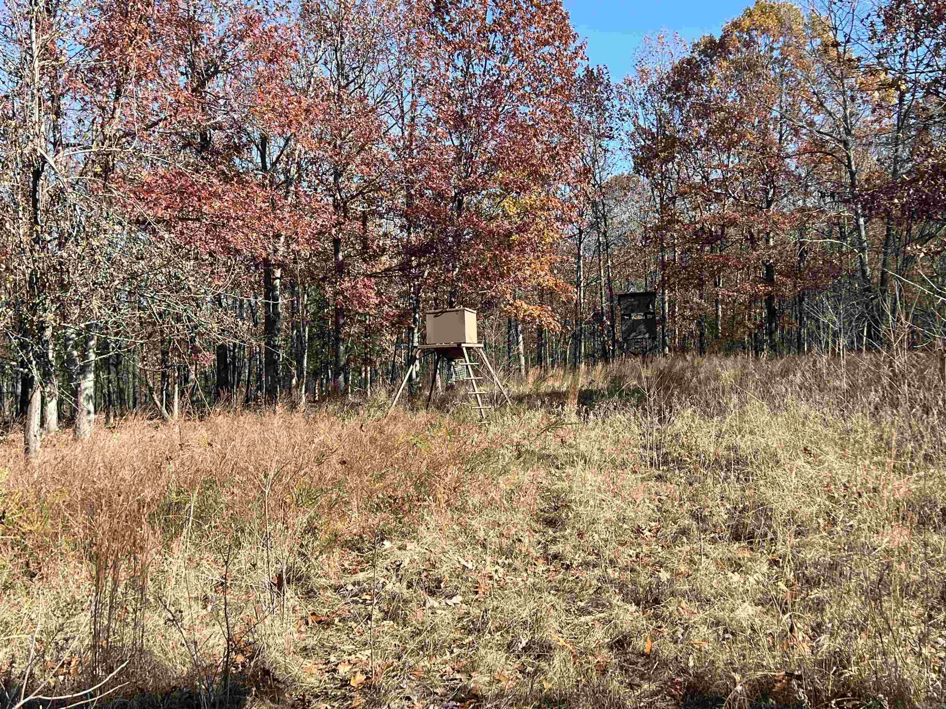 Photo 15 - Vacant Land for sale – 566  Bethany   Ravenden Springs, AR