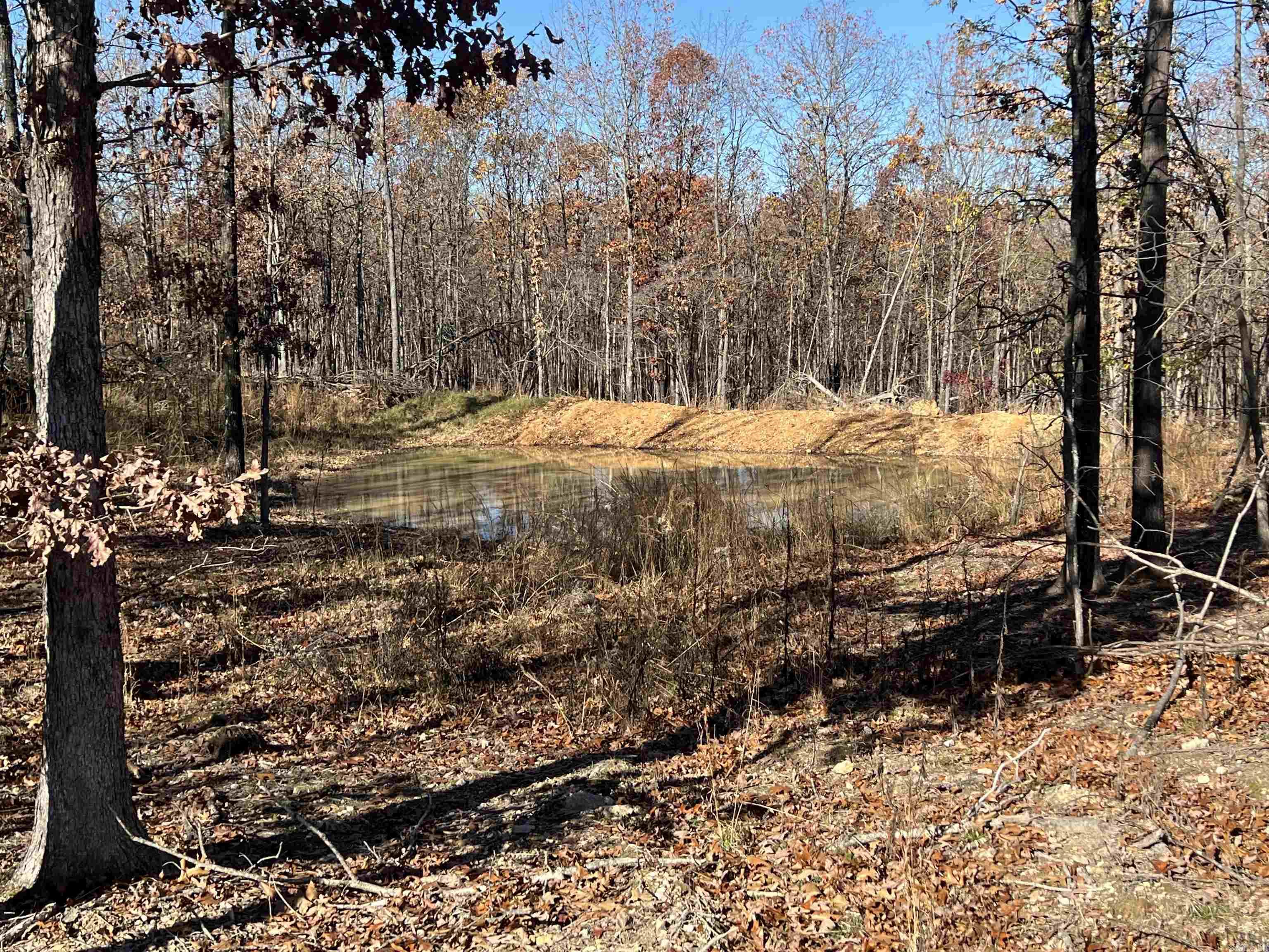 Photo 16 - Vacant Land for sale – 566  Bethany   Ravenden Springs, AR