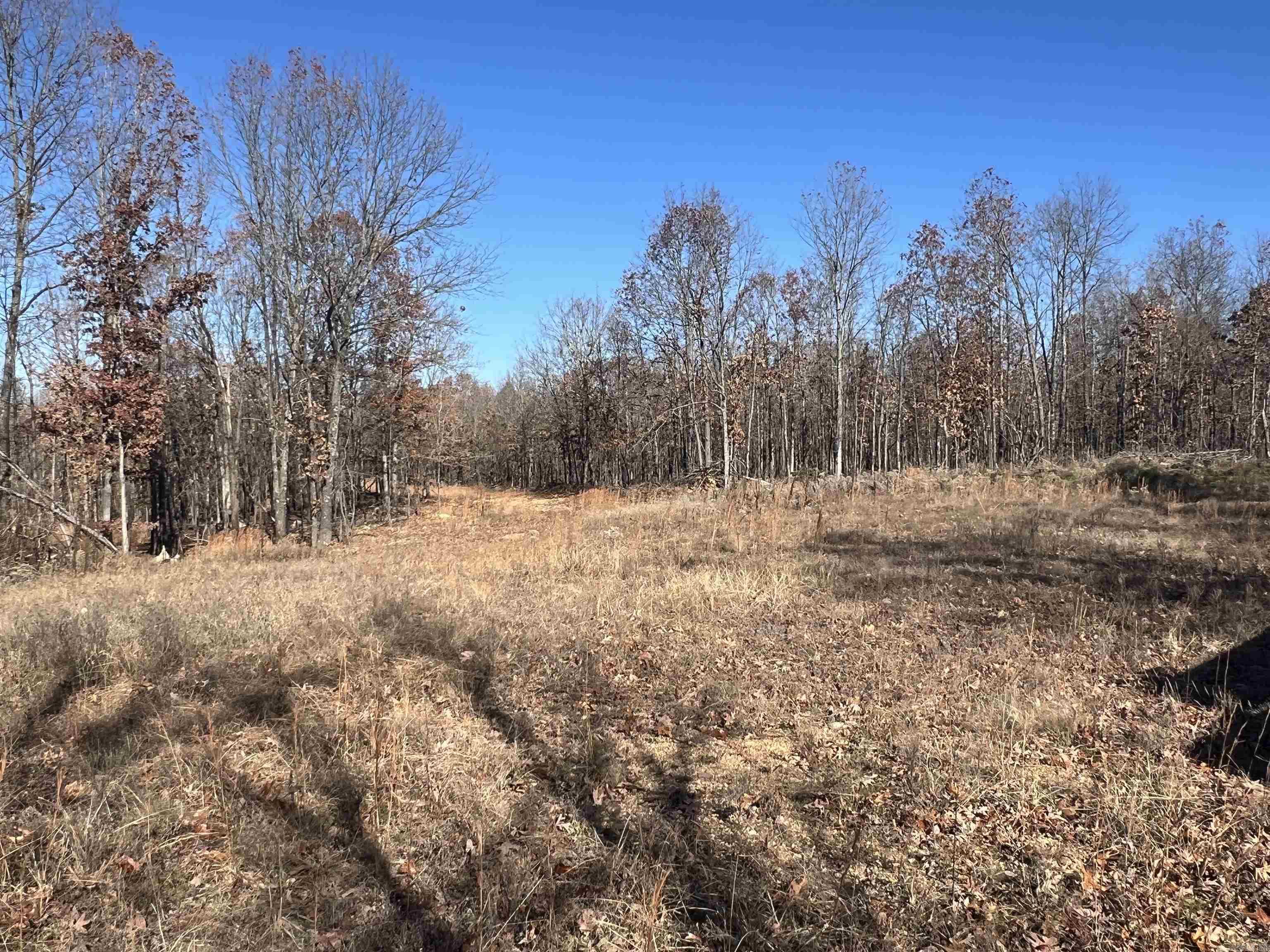 Photo 18 - Vacant Land for sale – 566  Bethany   Ravenden Springs, AR