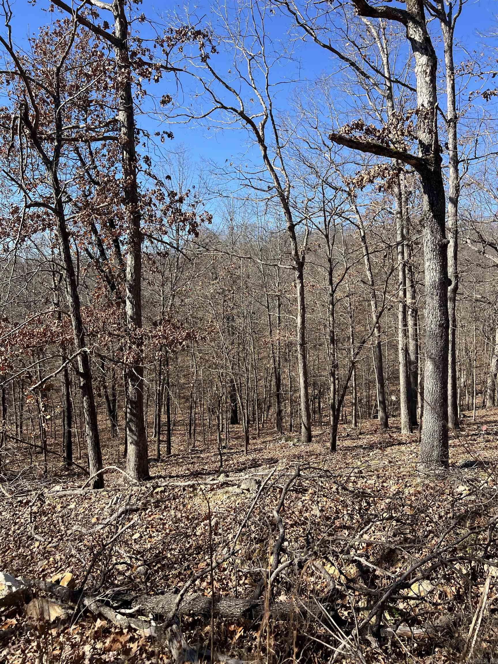 Photo 19 - Vacant Land for sale – 566  Bethany   Ravenden Springs, AR