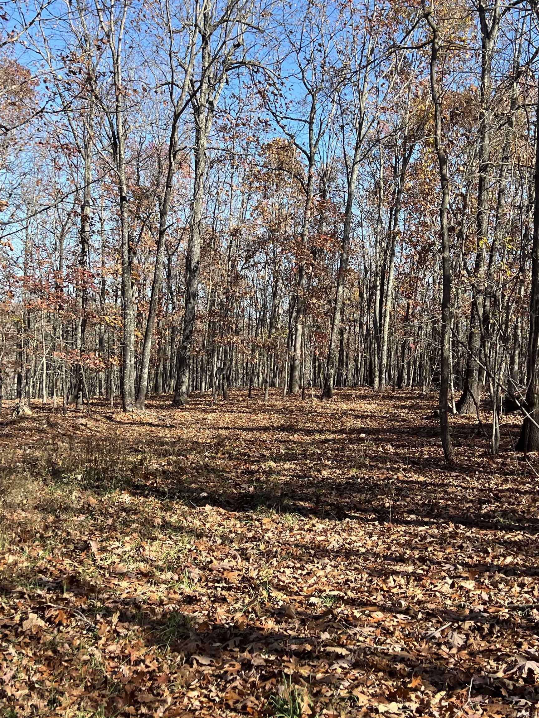 Photo 20 - Vacant Land for sale – 566  Bethany   Ravenden Springs, AR