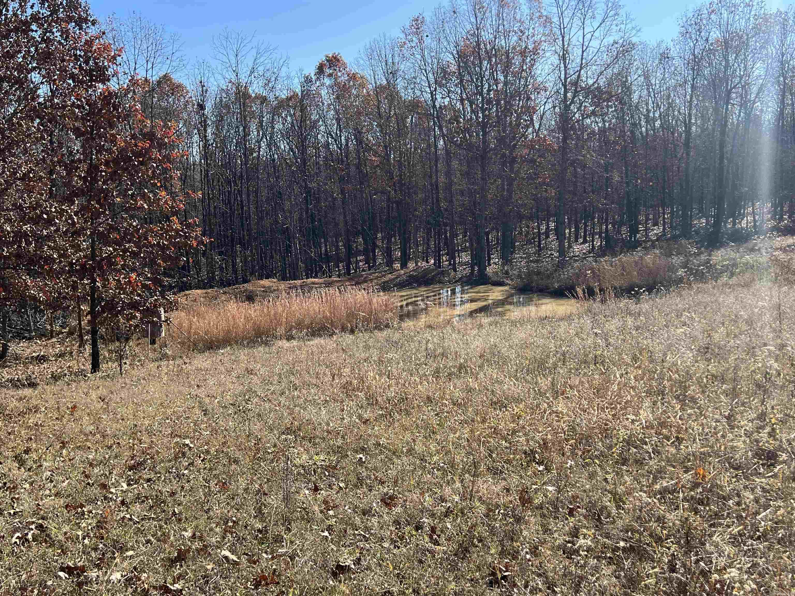 Photo 22 - Vacant Land for sale – 566  Bethany   Ravenden Springs, AR