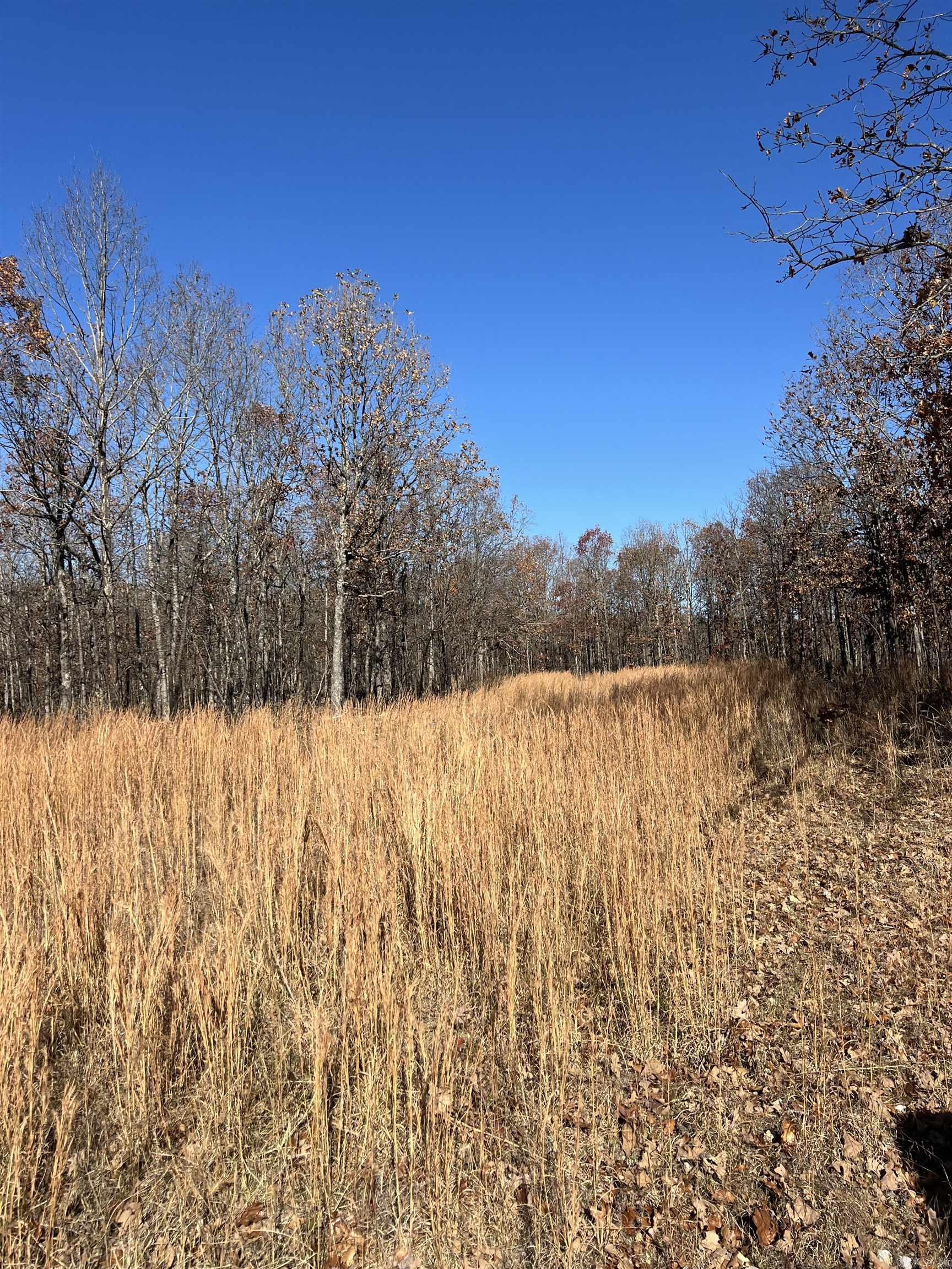 Photo 23 - Vacant Land for sale – 566  Bethany   Ravenden Springs, AR