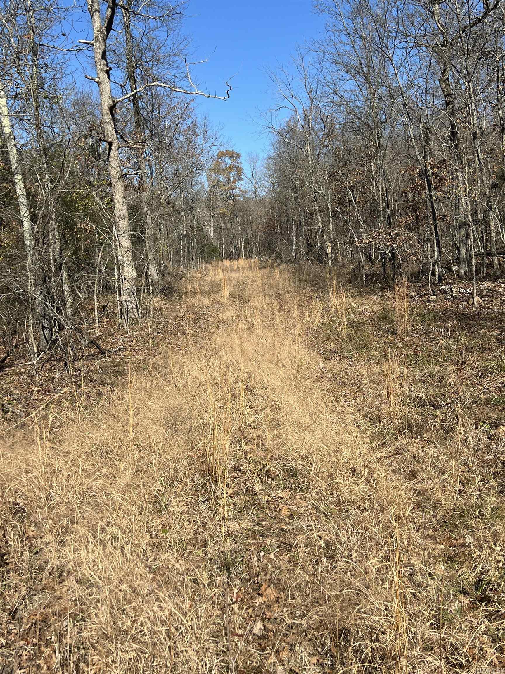 Photo 24 - Vacant Land for sale – 566  Bethany   Ravenden Springs, AR