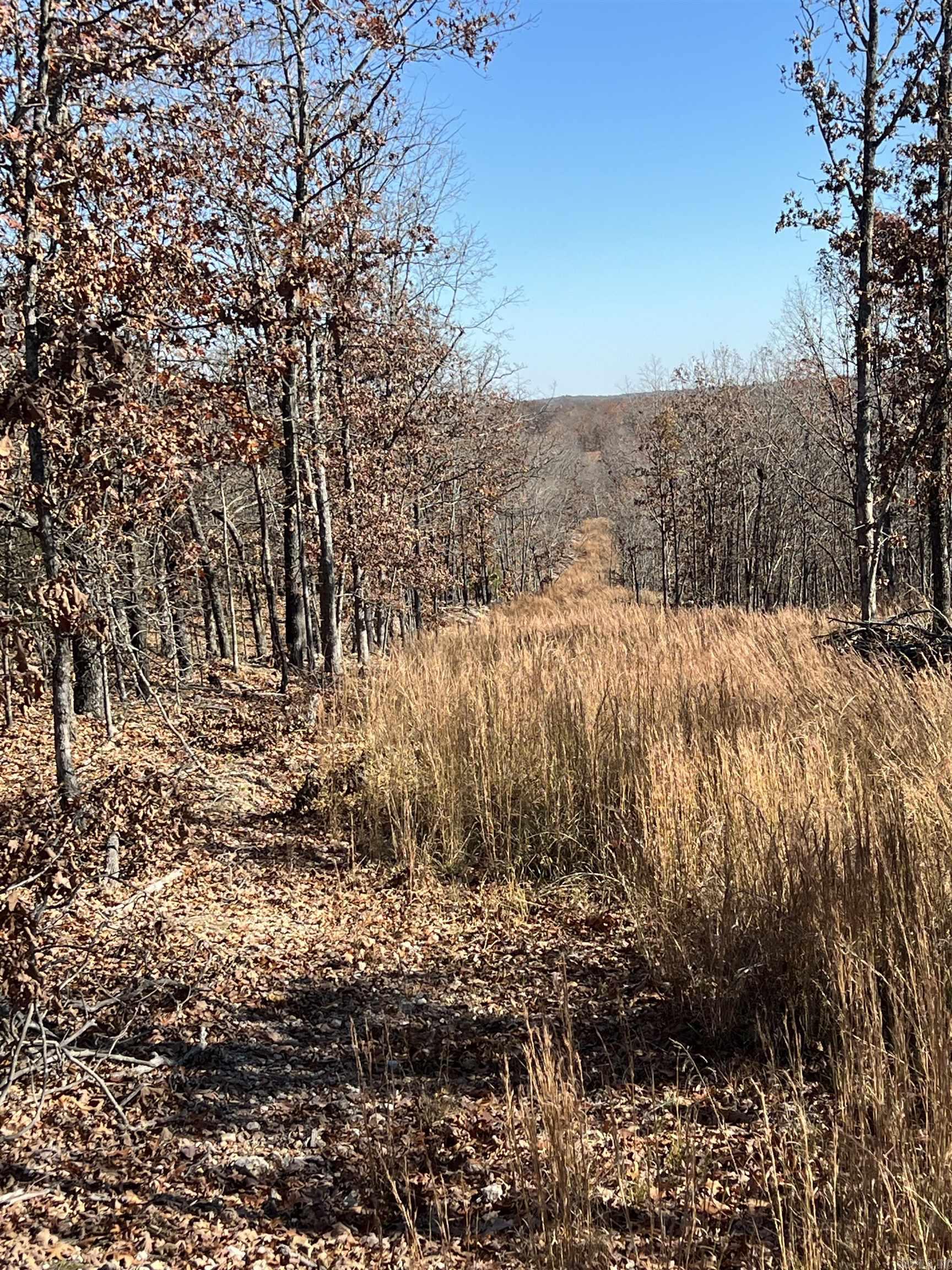 Photo 27 - Vacant Land for sale – 566  Bethany   Ravenden Springs, AR
