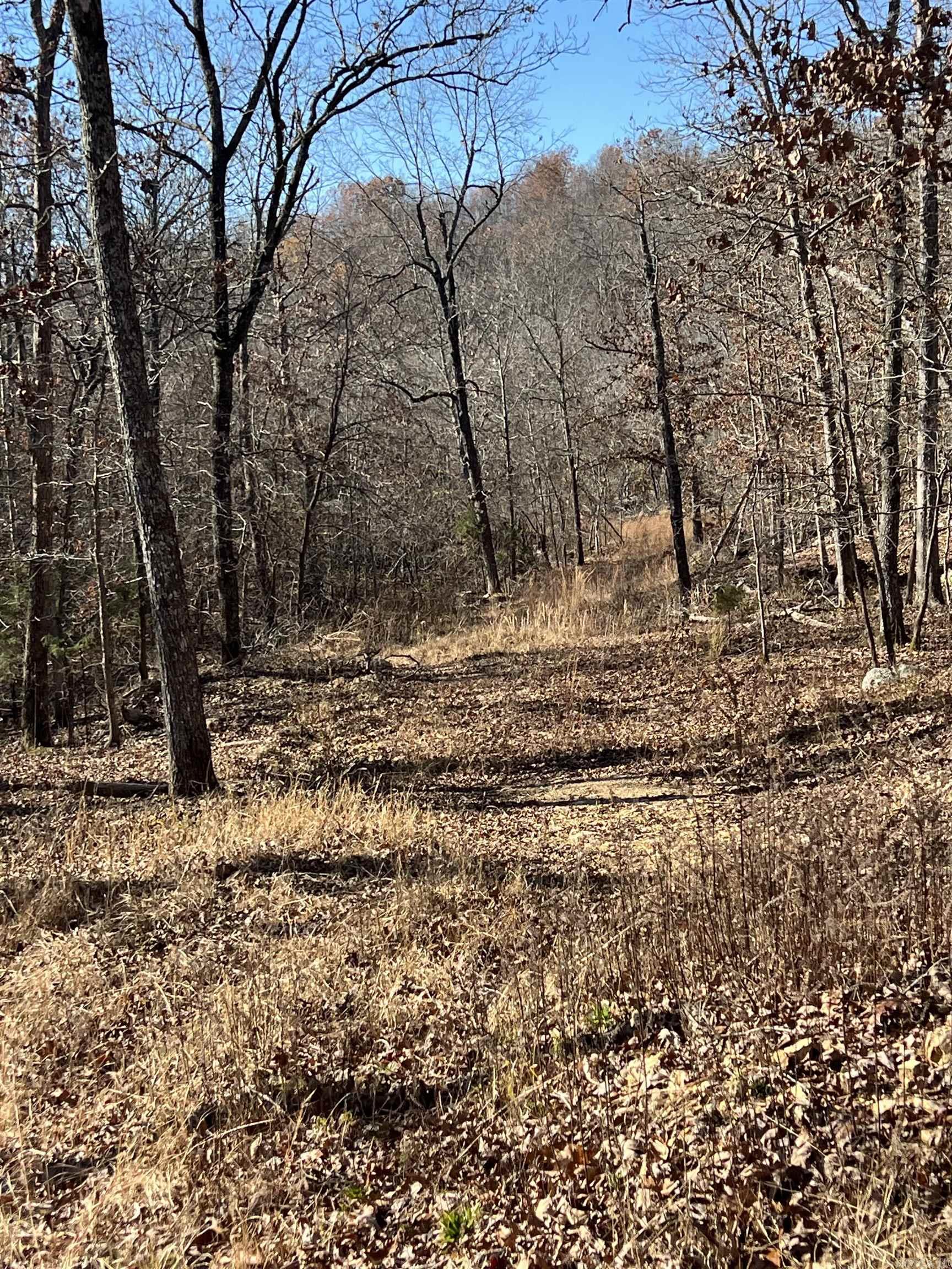 Photo 28 - Vacant Land for sale – 566  Bethany   Ravenden Springs, AR