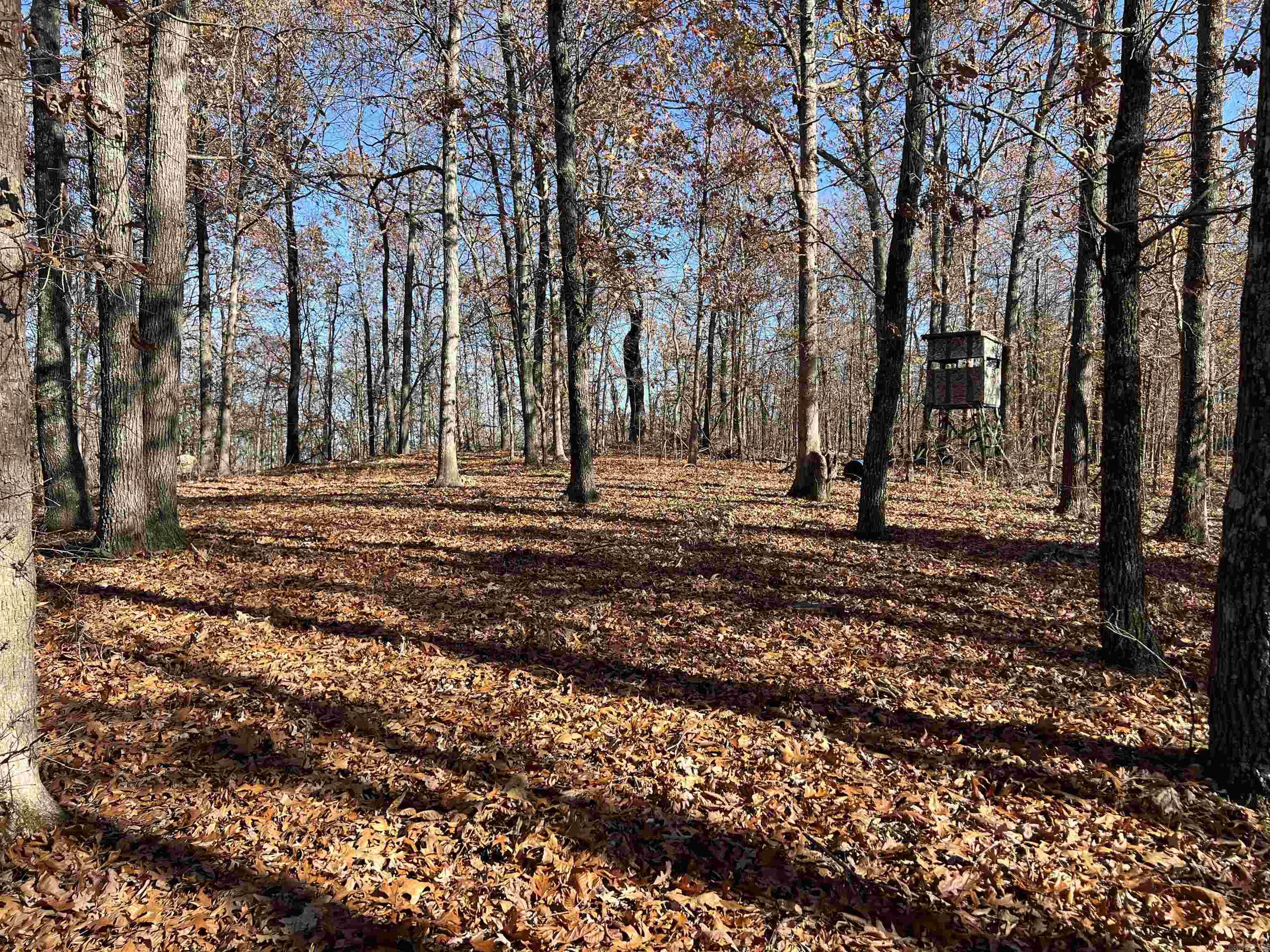 Photo 31 - Vacant Land for sale – 566  Bethany   Ravenden Springs, AR