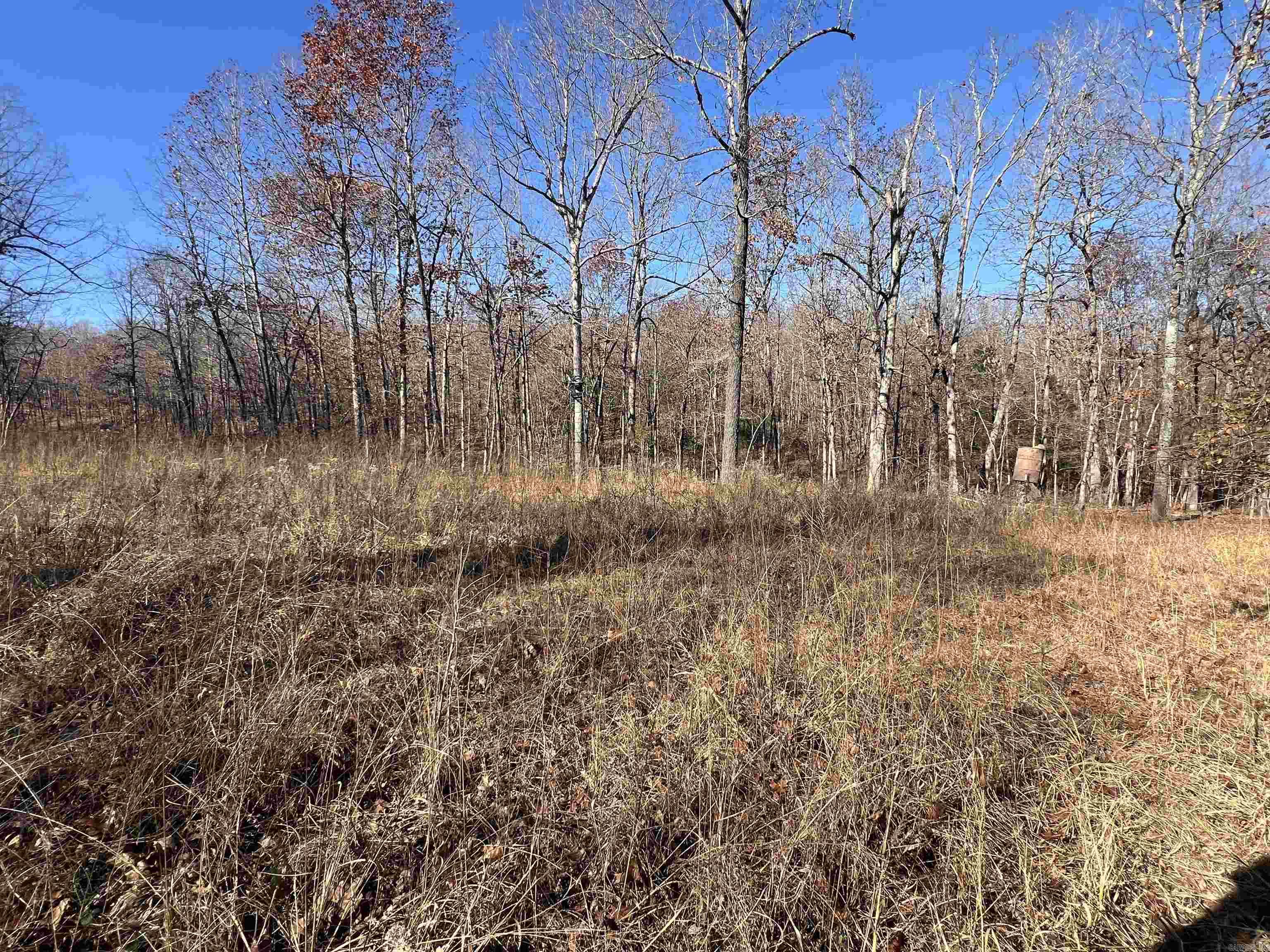 Photo 32 - Vacant Land for sale – 566  Bethany   Ravenden Springs, AR