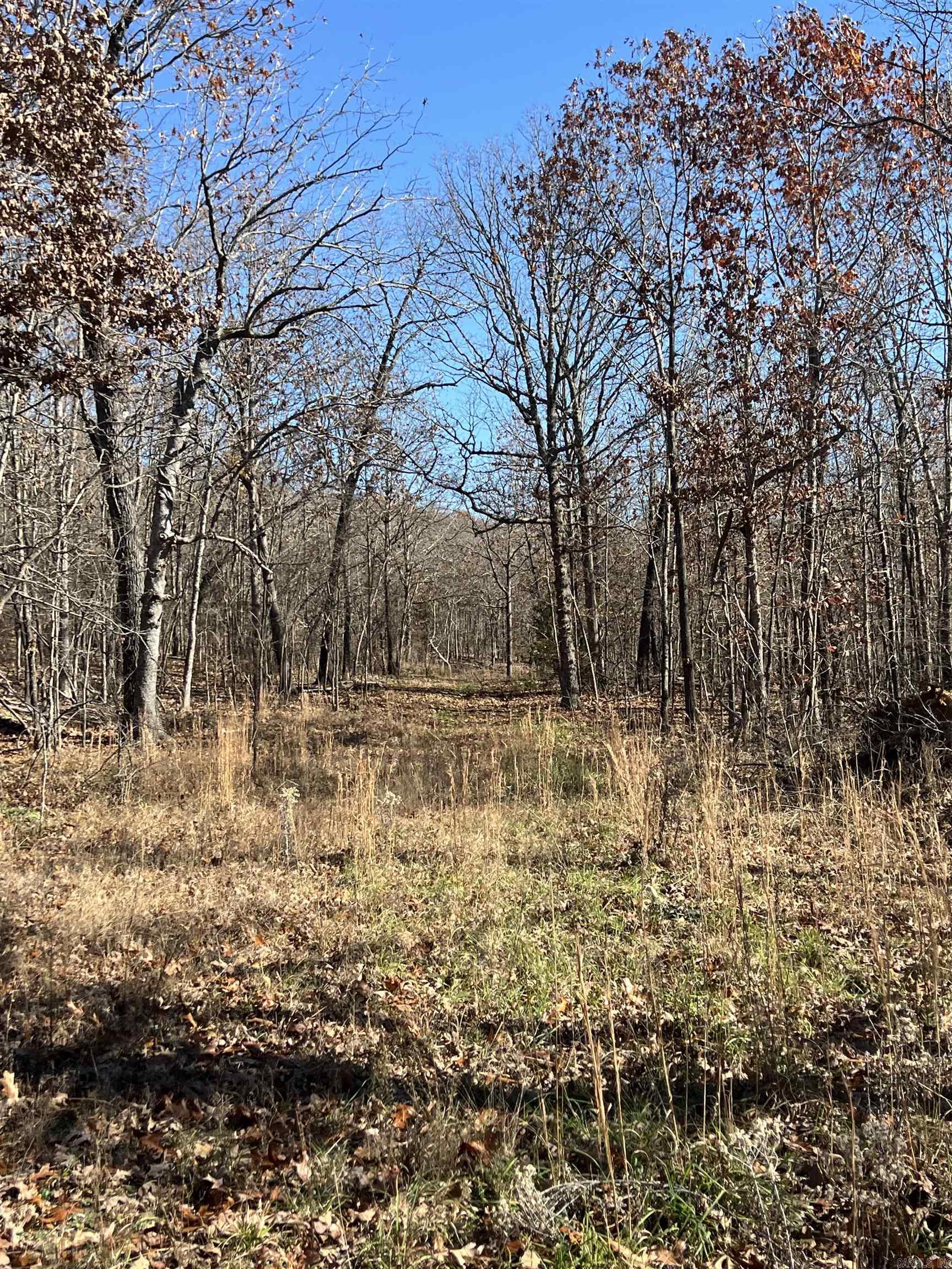 Photo 34 - Vacant Land for sale – 566  Bethany   Ravenden Springs, AR