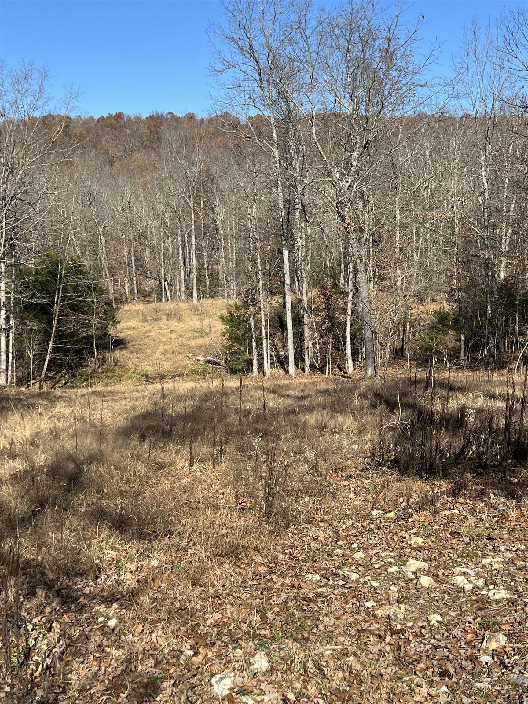 Photo 35 - Vacant Land for sale – 566  Bethany   Ravenden Springs, AR