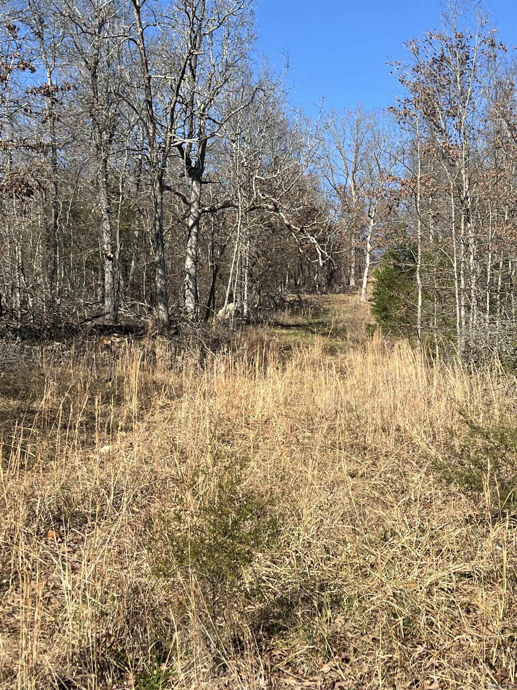 Photo 37 - Vacant Land for sale – 566  Bethany   Ravenden Springs, AR