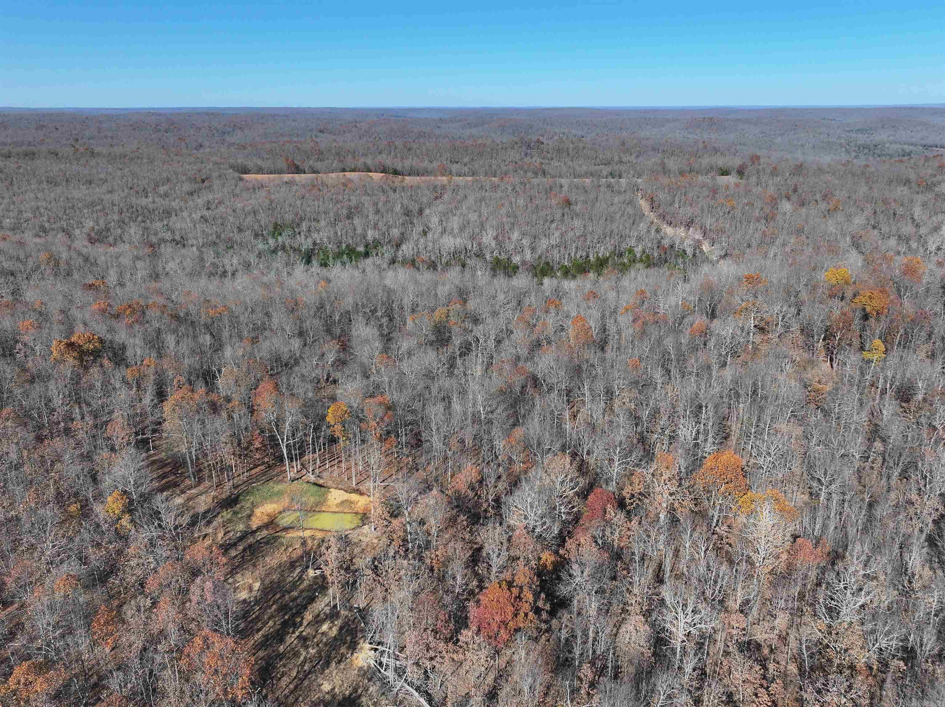 Photo 9 - Vacant Land for sale – 566  Bethany   Ravenden Springs, AR