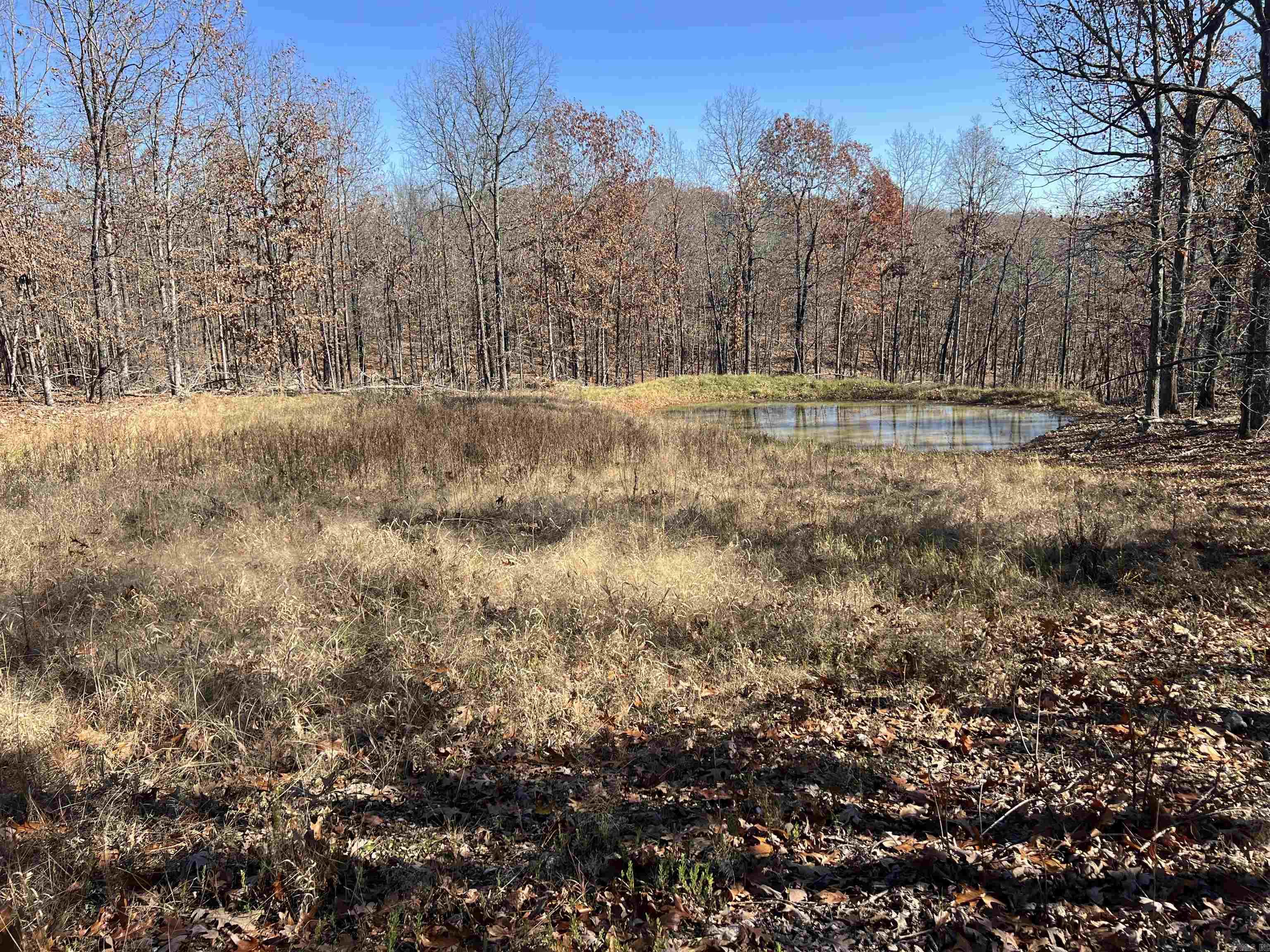 Photo 10 - Vacant Land for sale – 566  Bethany   Ravenden Springs, AR