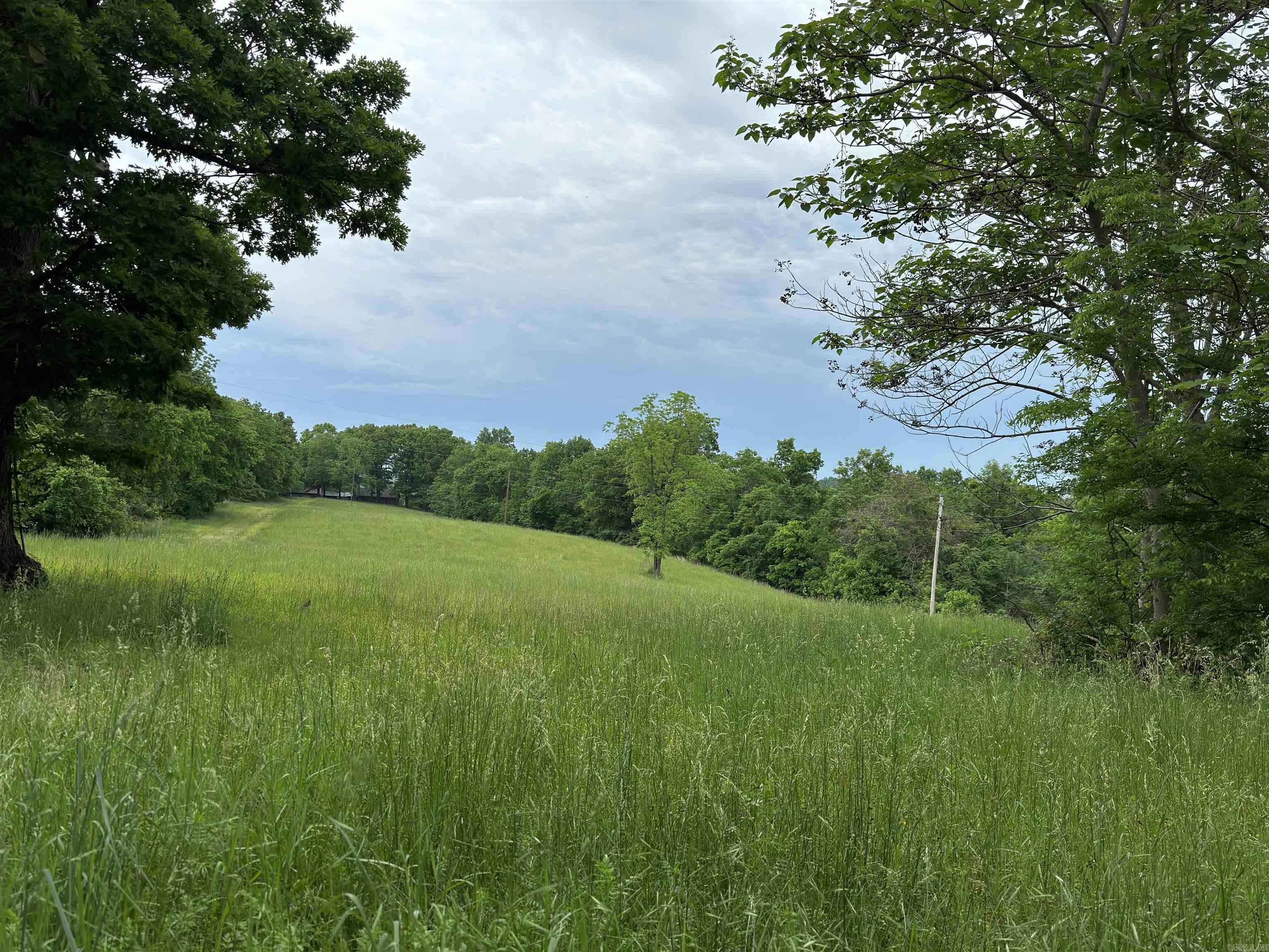 Photo 30 - Residential for sale – 0  Love   Mount Pleasant, AR