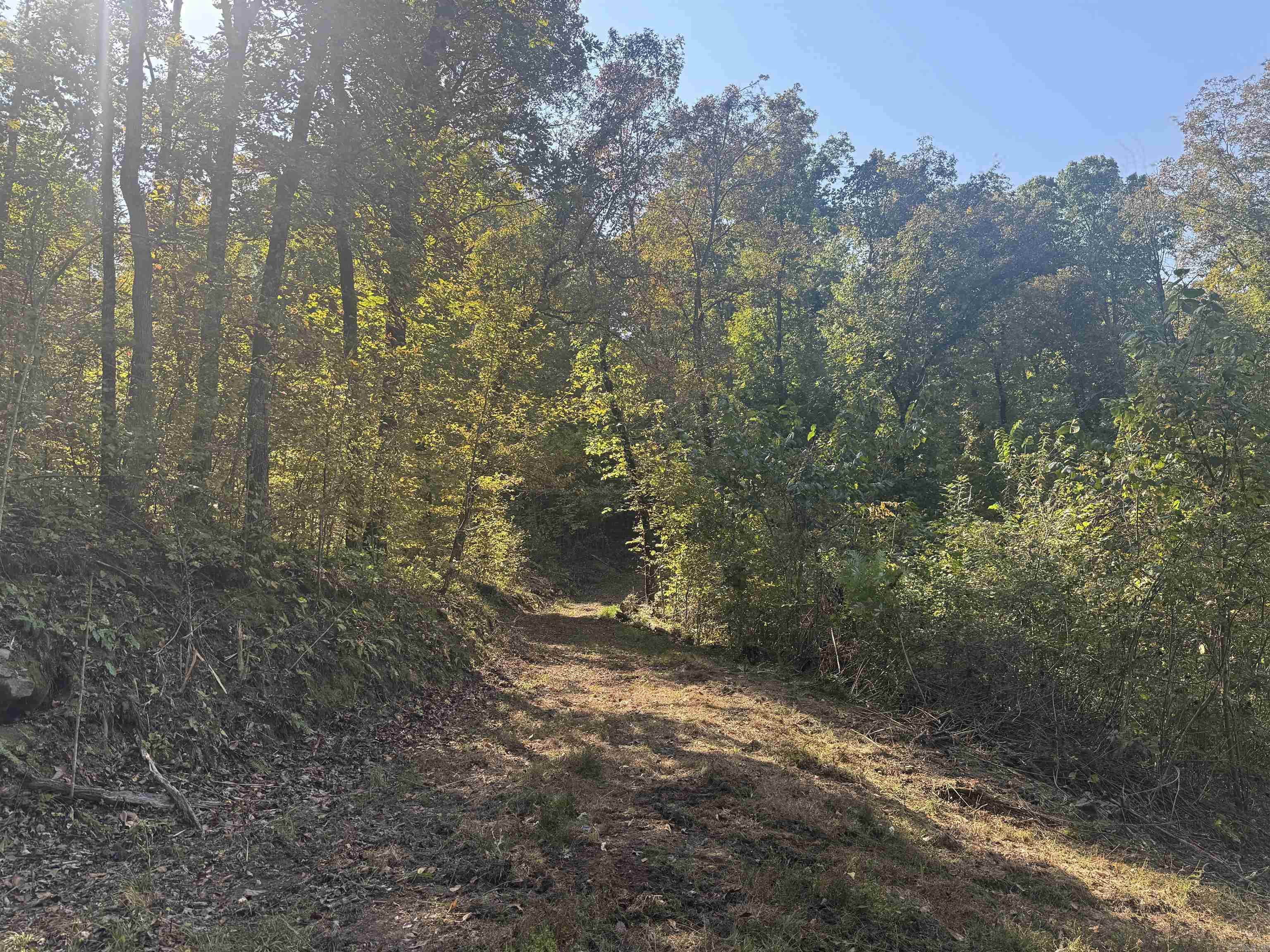 Photo 39 - Residential for sale – 0  Love   Mount Pleasant, AR
