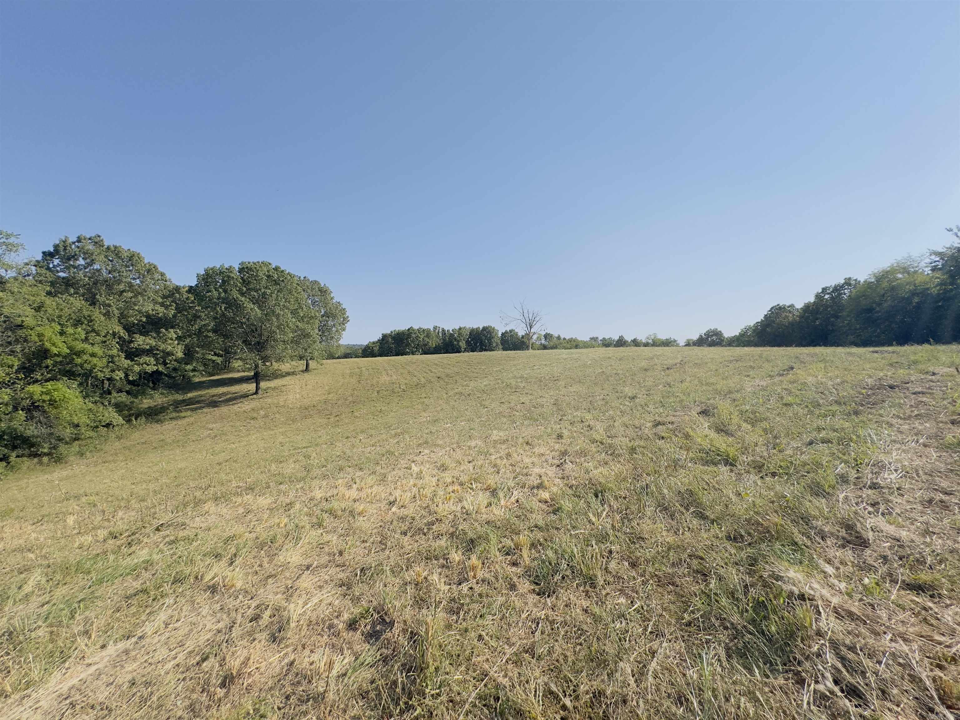 Photo 40 - Residential for sale – 0  Love   Mount Pleasant, AR