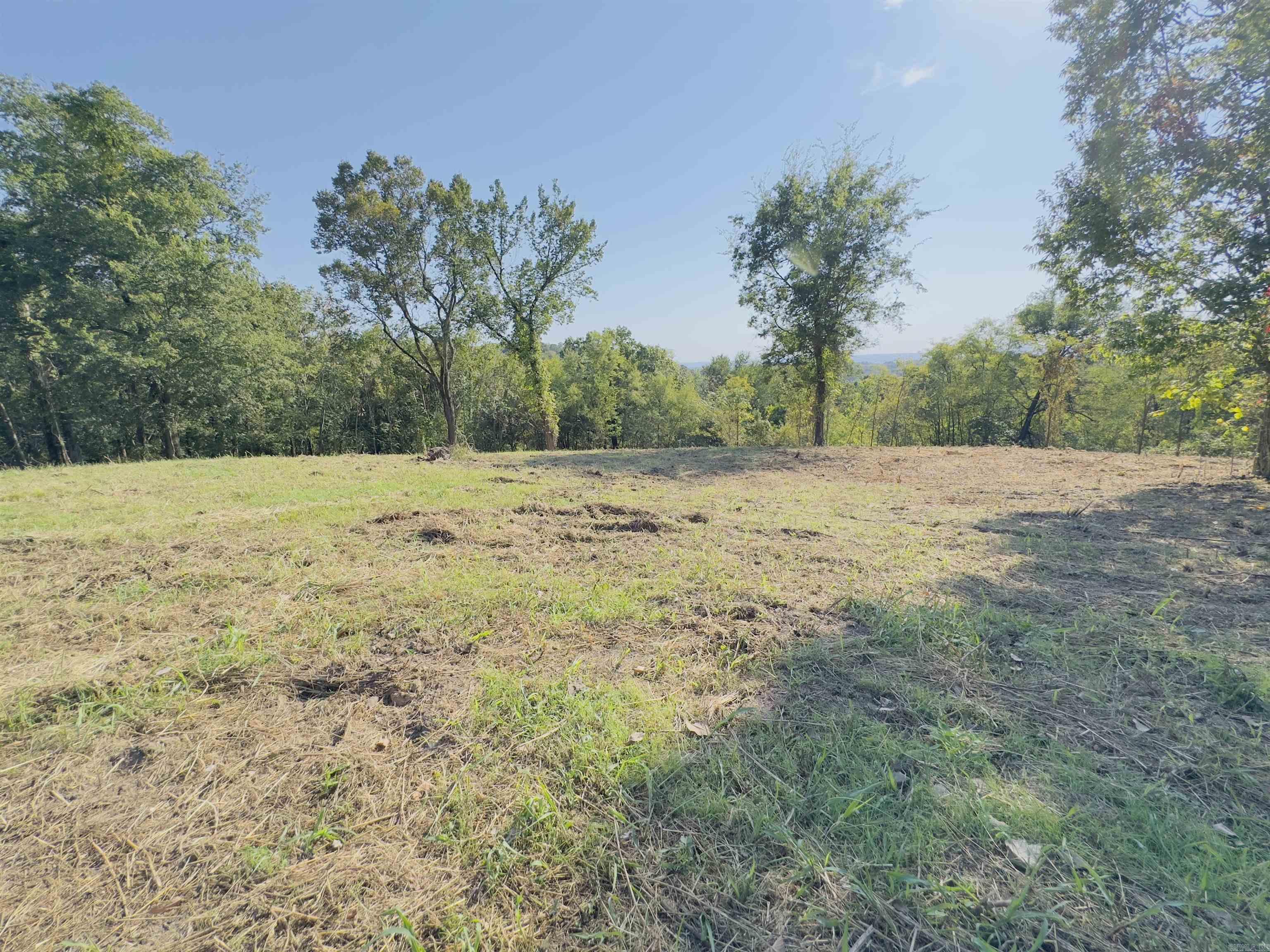 Photo 41 - Residential for sale – 0  Love   Mount Pleasant, AR