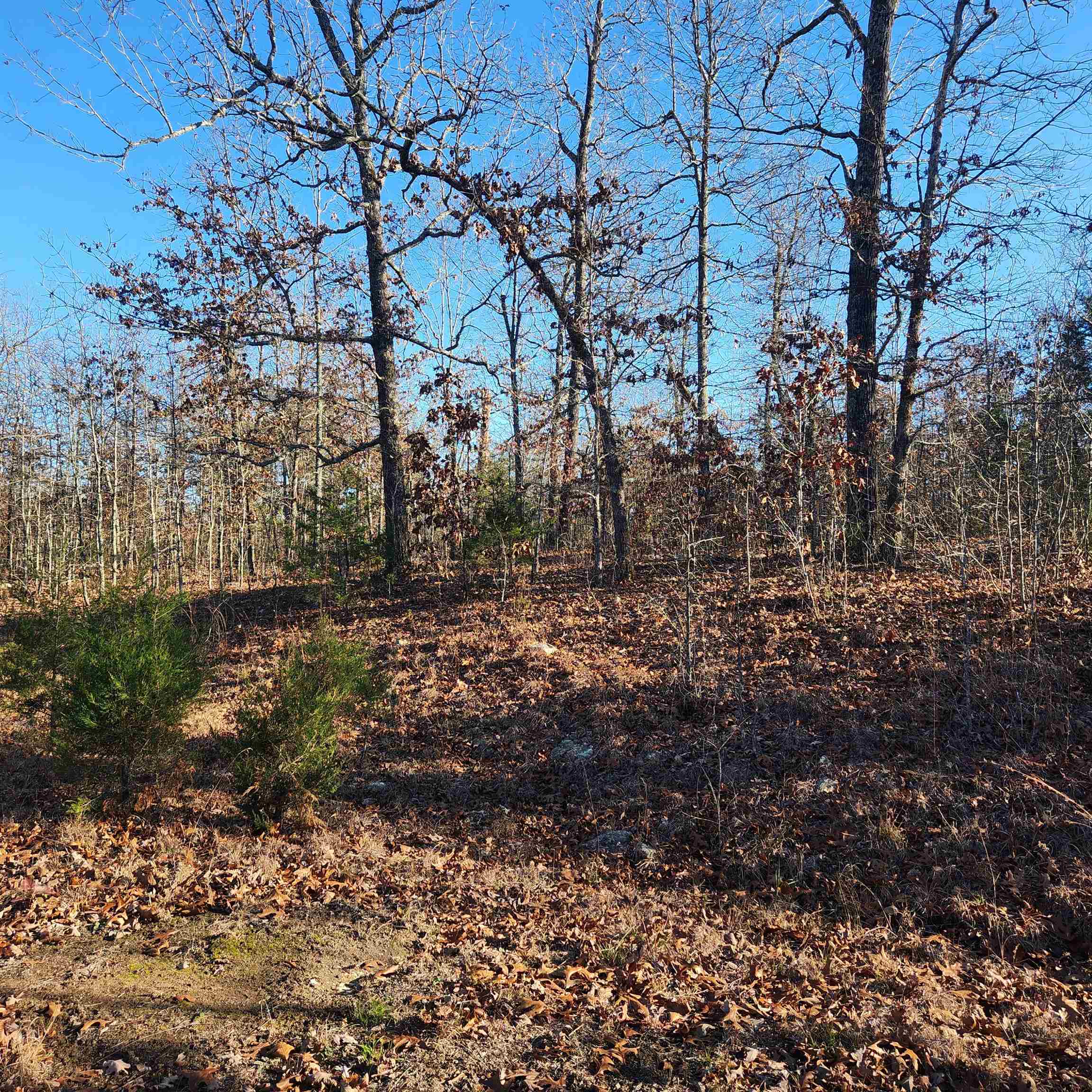Photo 2 - Vacant Land for sale – 808 W Forest Hills   Horseshoe Bend, AR