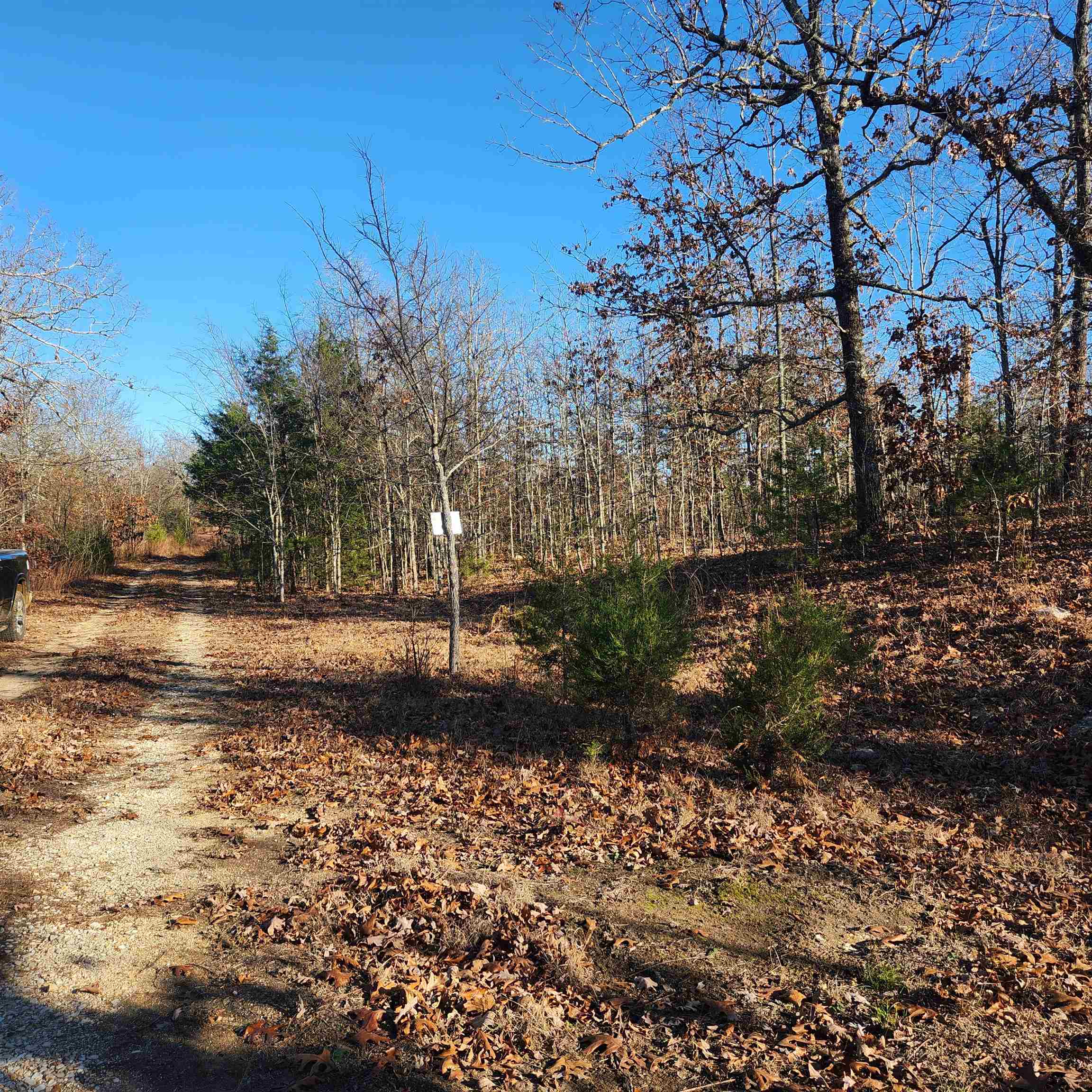 Photo 3 - Vacant Land for sale – 808 W Forest Hills   Horseshoe Bend, AR