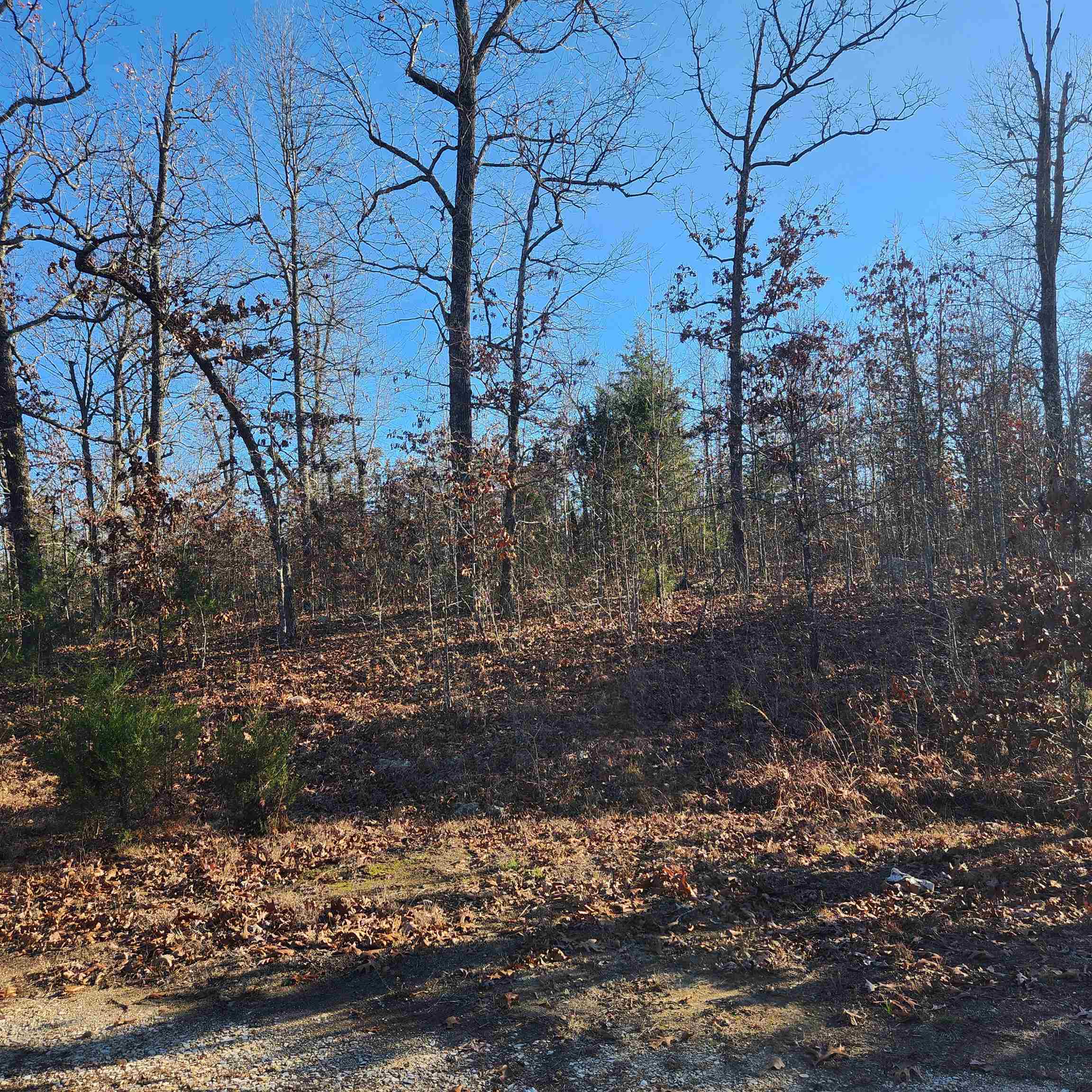 Photo 7 - Vacant Land for sale – 808 W Forest Hills   Horseshoe Bend, AR
