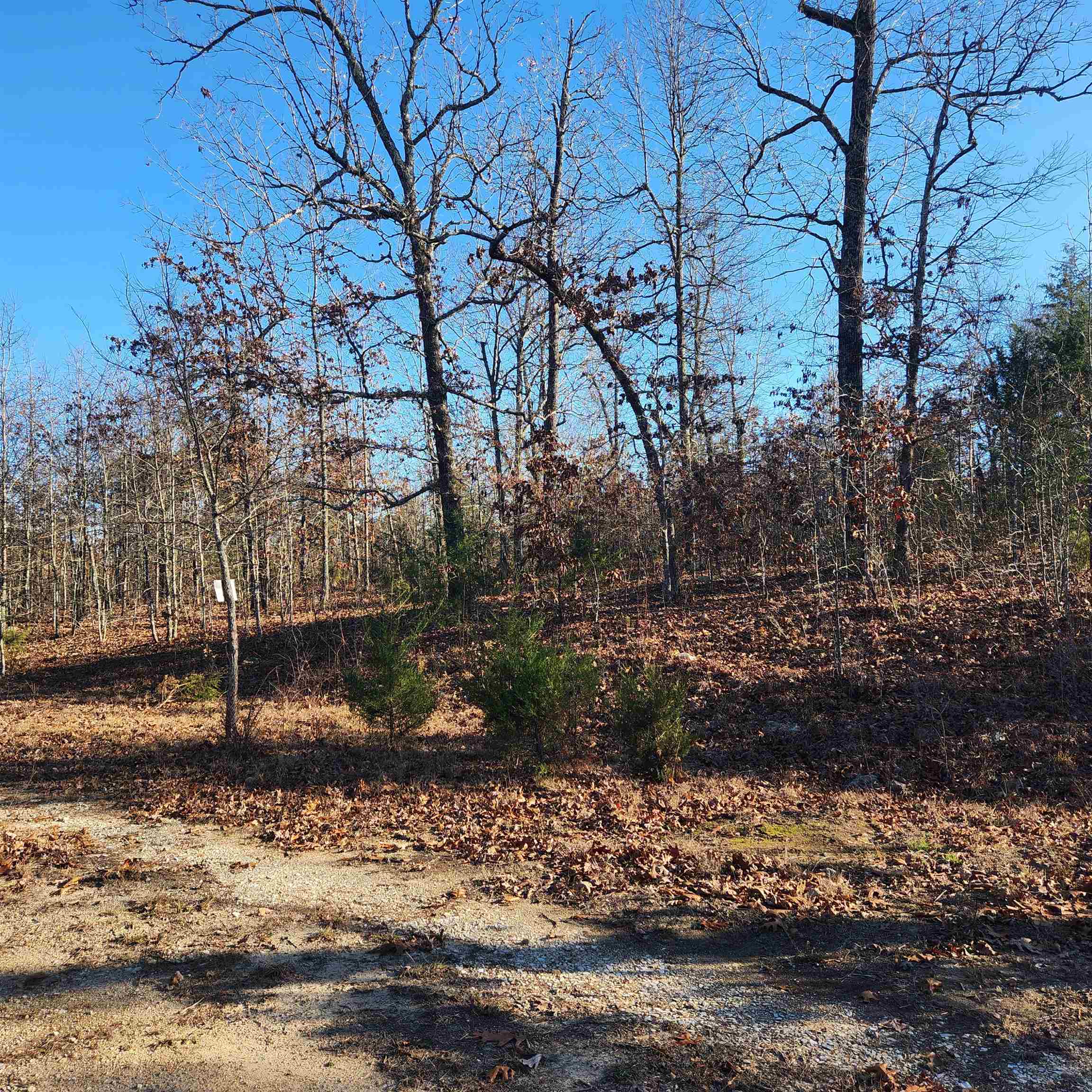 Photo 8 - Vacant Land for sale – 808 W Forest Hills   Horseshoe Bend, AR