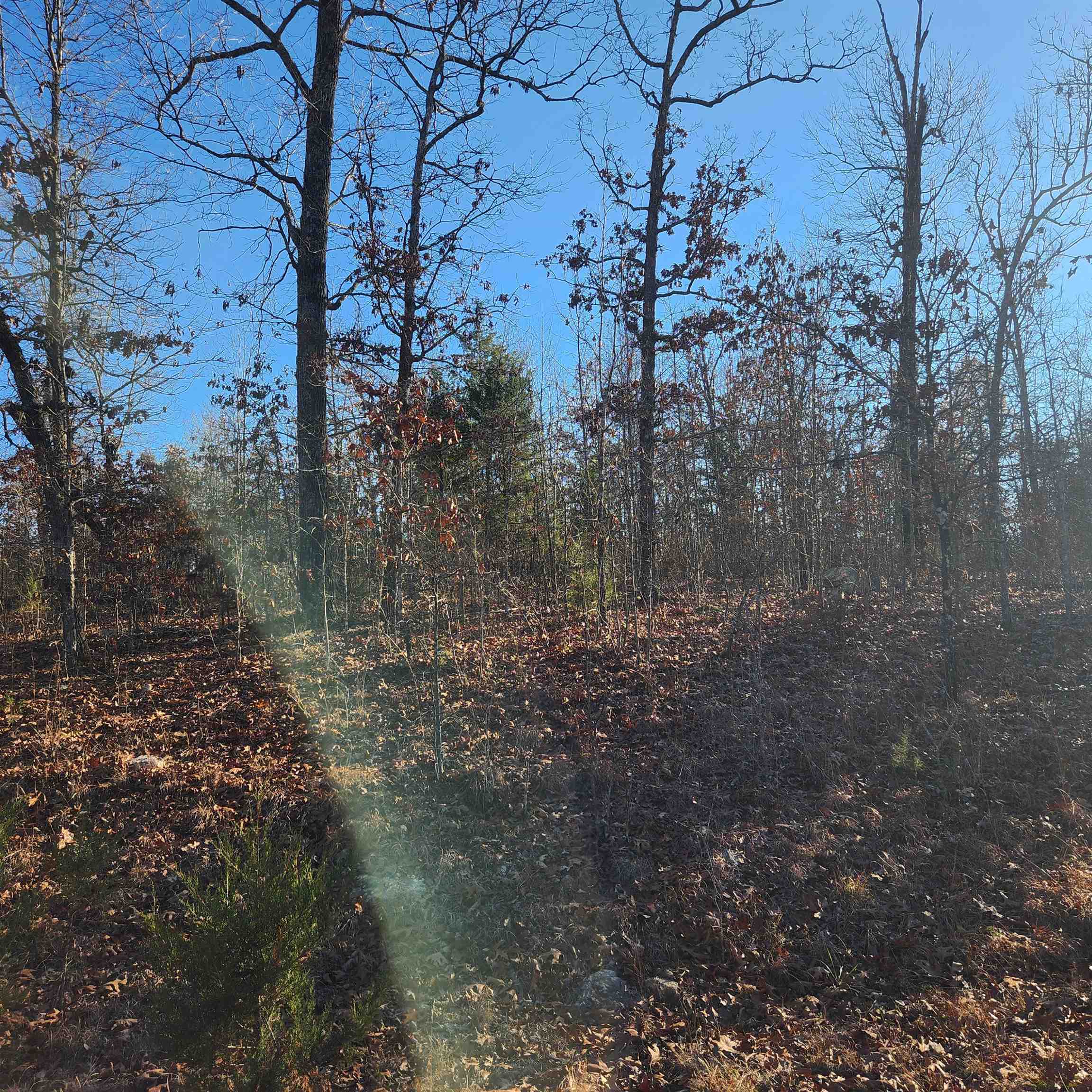 Photo 9 - Vacant Land for sale – 808 W Forest Hills   Horseshoe Bend, AR