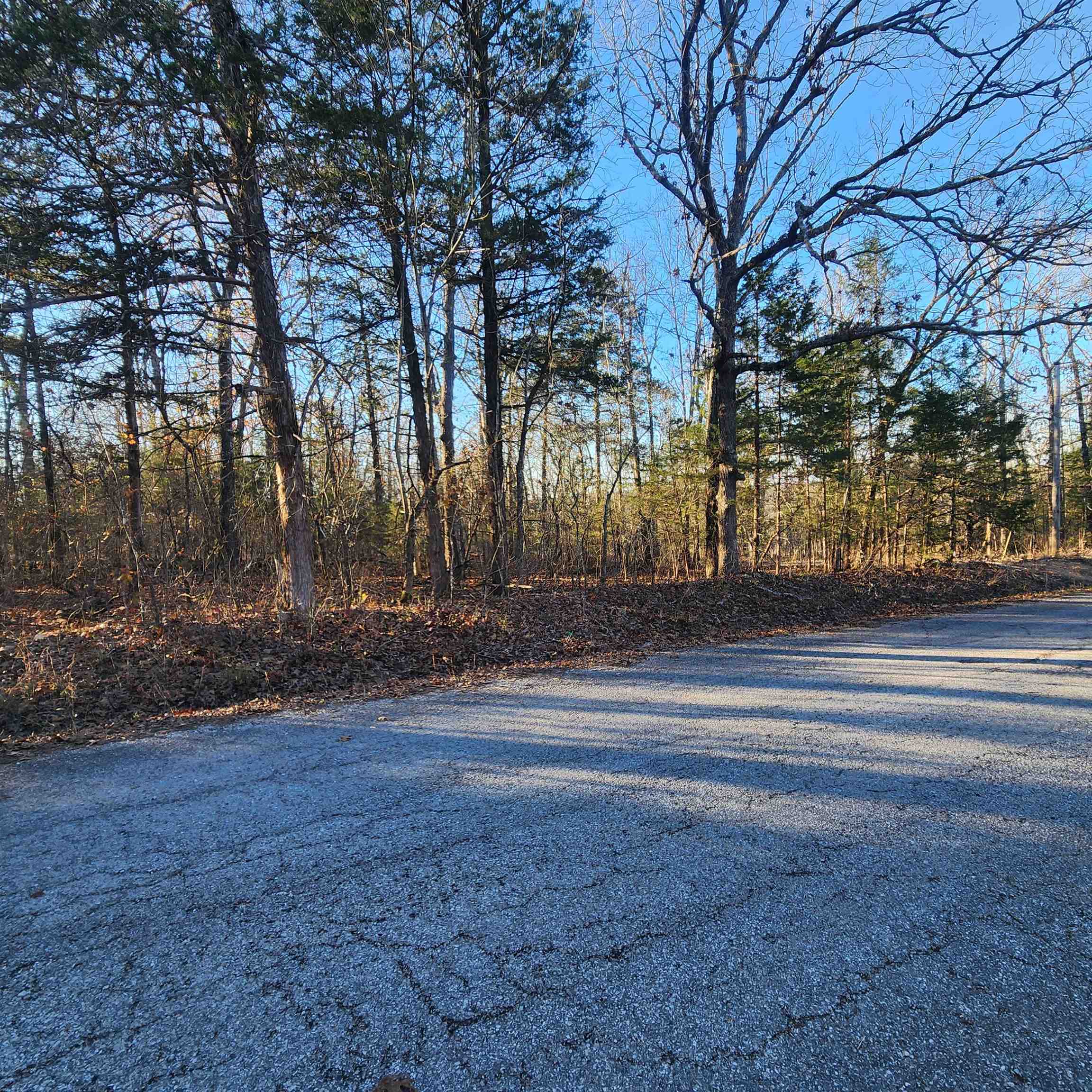 Photo 2 - Vacant Land for sale – 1505  Riverview   Horseshoe Bend, AR