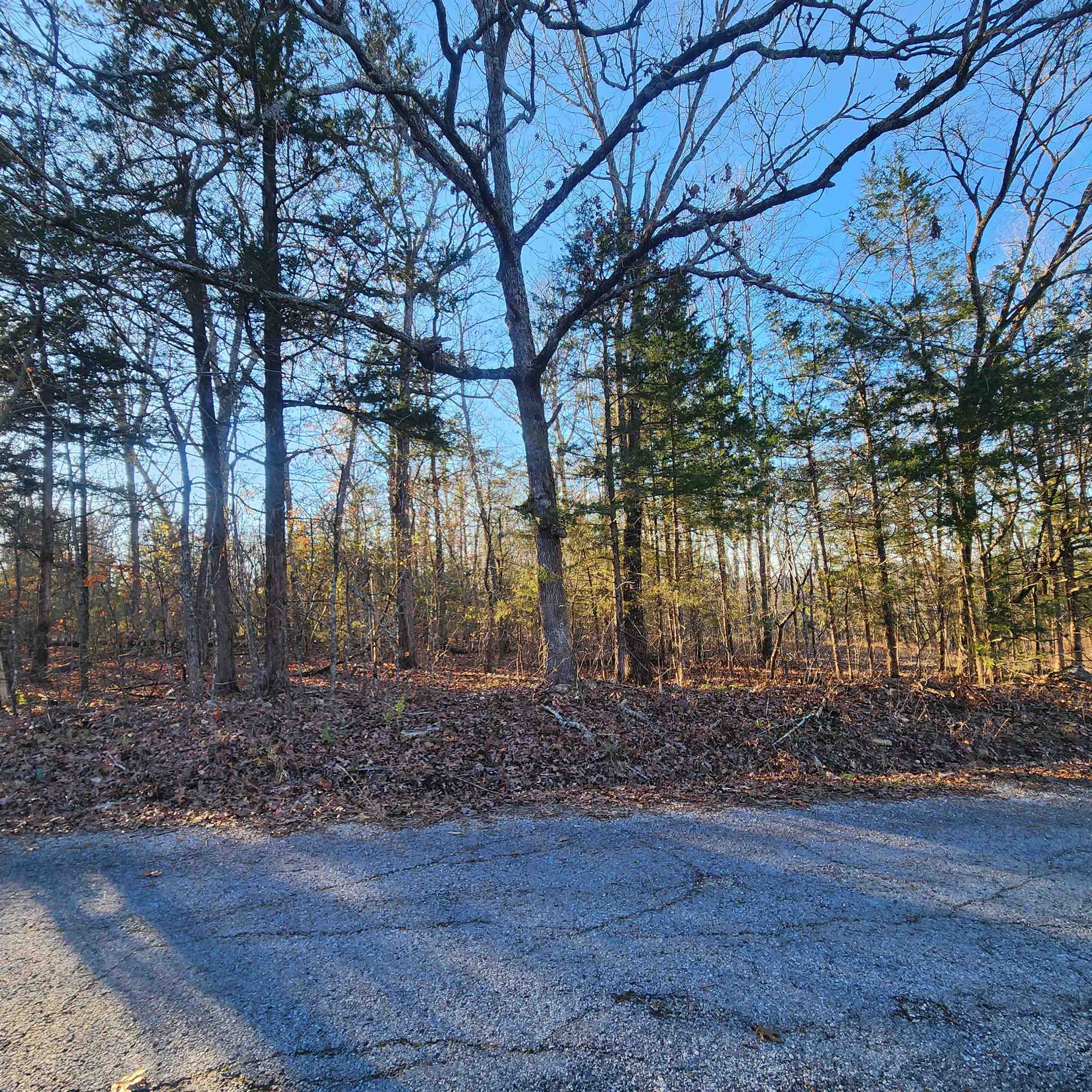 Photo 12 - Vacant Land for sale – 1505  Riverview   Horseshoe Bend, AR