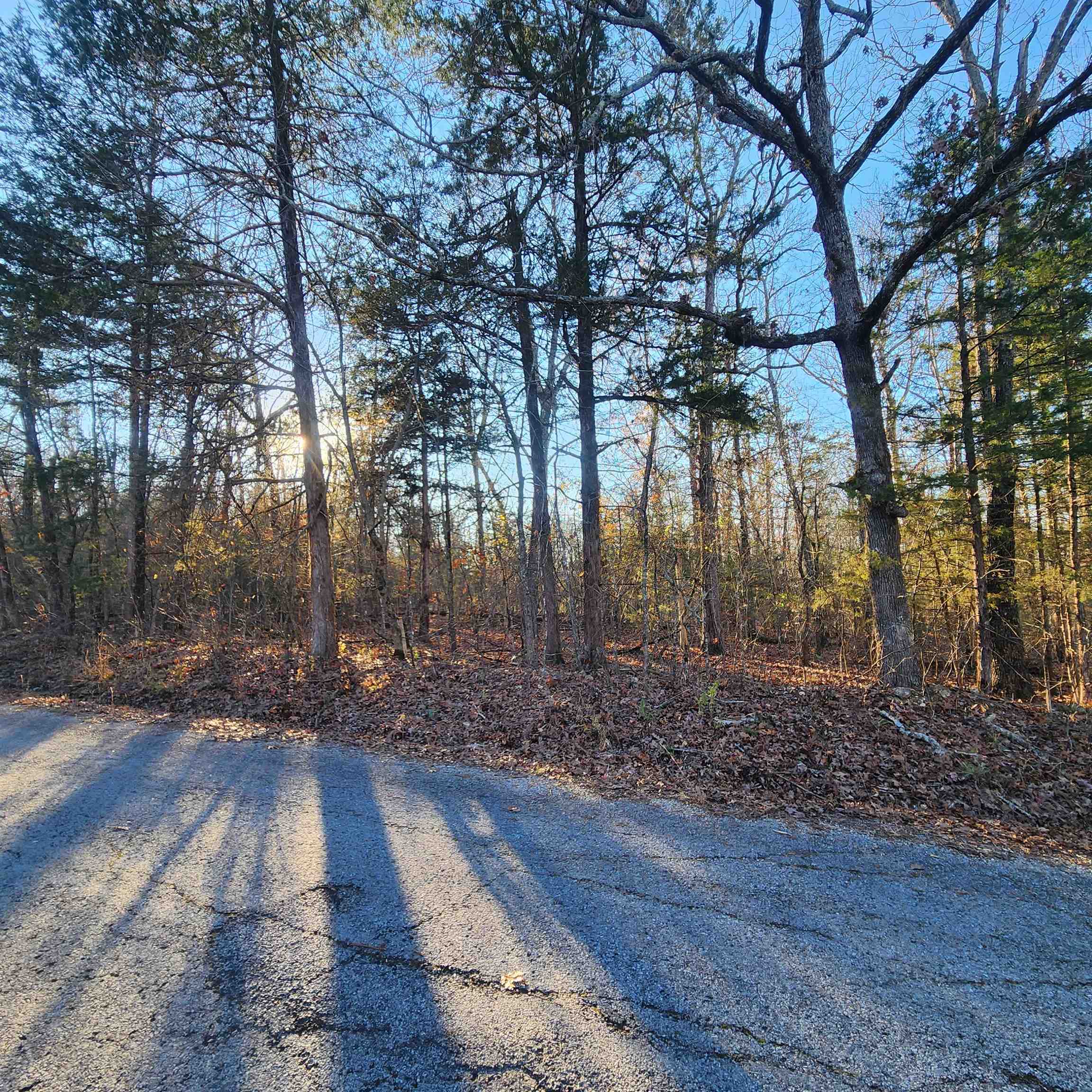 Photo 13 - Vacant Land for sale – 1505  Riverview   Horseshoe Bend, AR