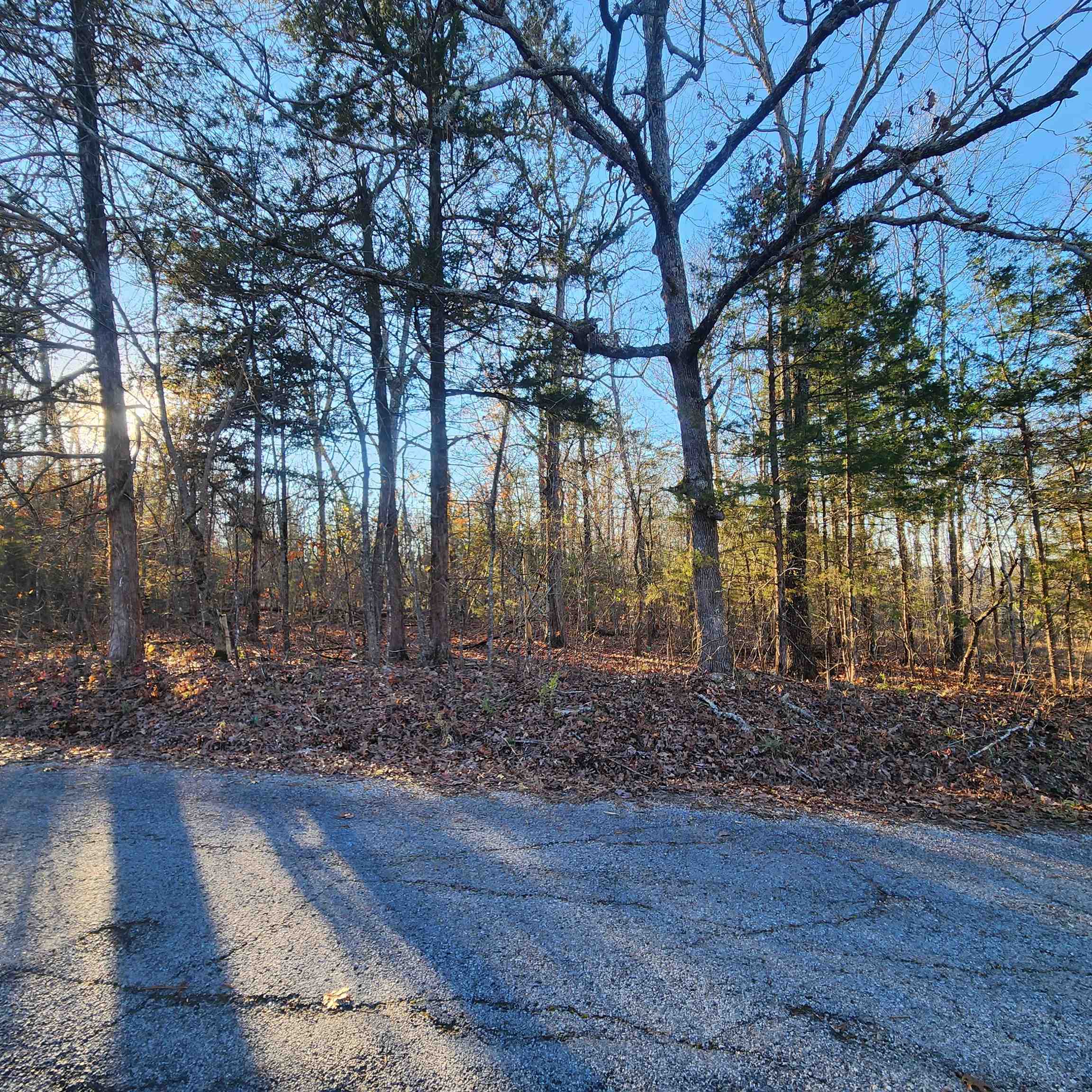 Photo 14 - Vacant Land for sale – 1505  Riverview   Horseshoe Bend, AR