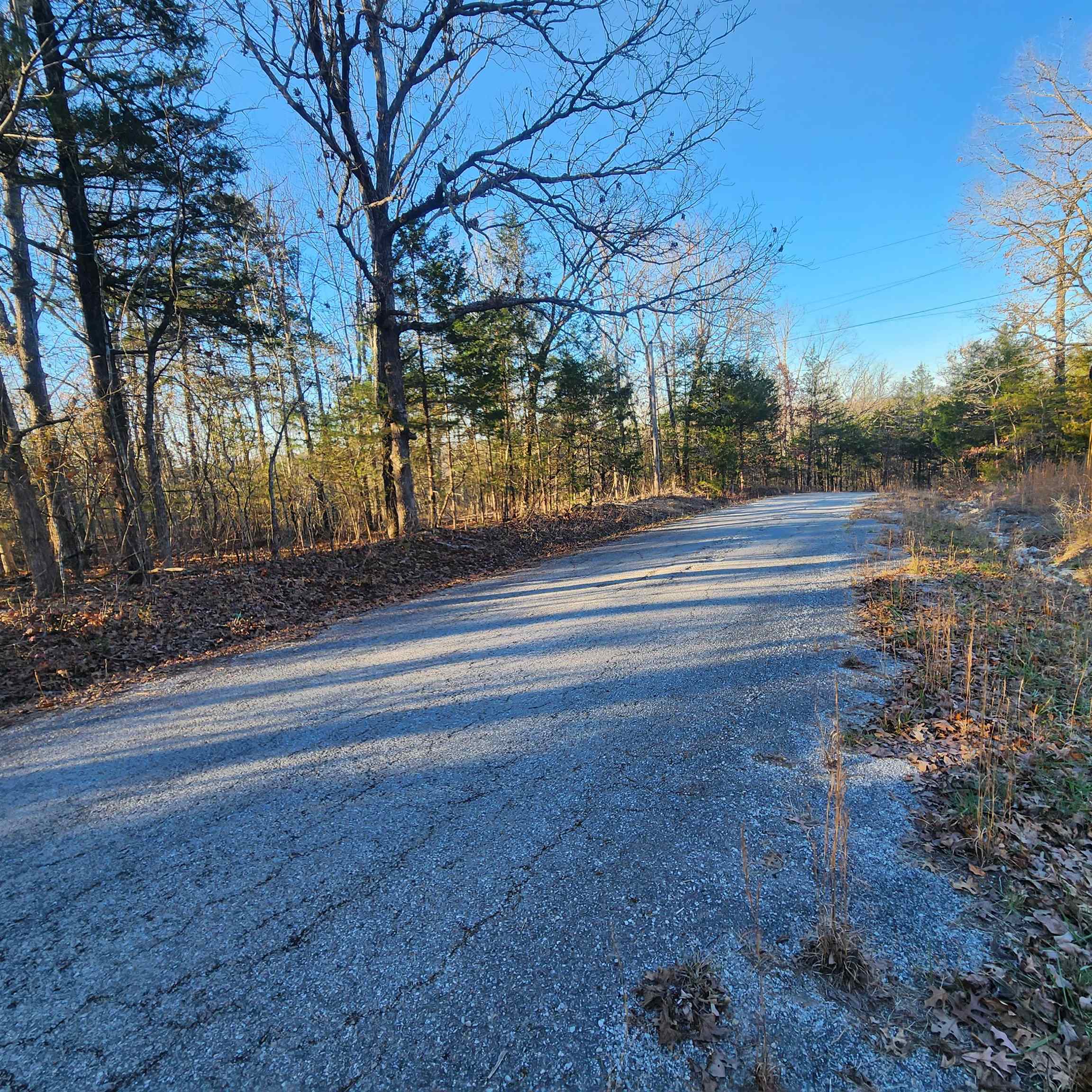 Photo 3 - Vacant Land for sale – 1505  Riverview   Horseshoe Bend, AR