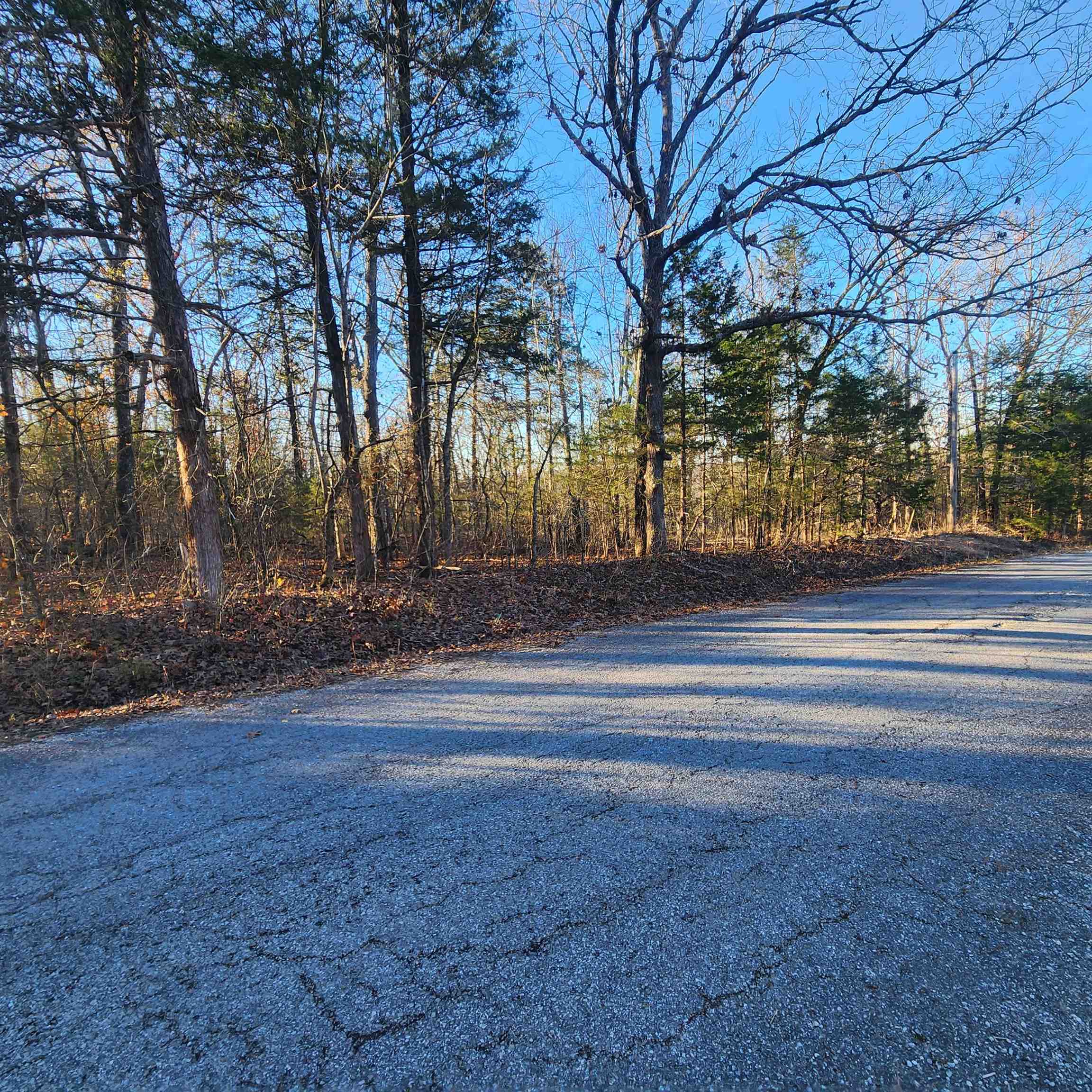 Photo 4 - Vacant Land for sale – 1505  Riverview   Horseshoe Bend, AR