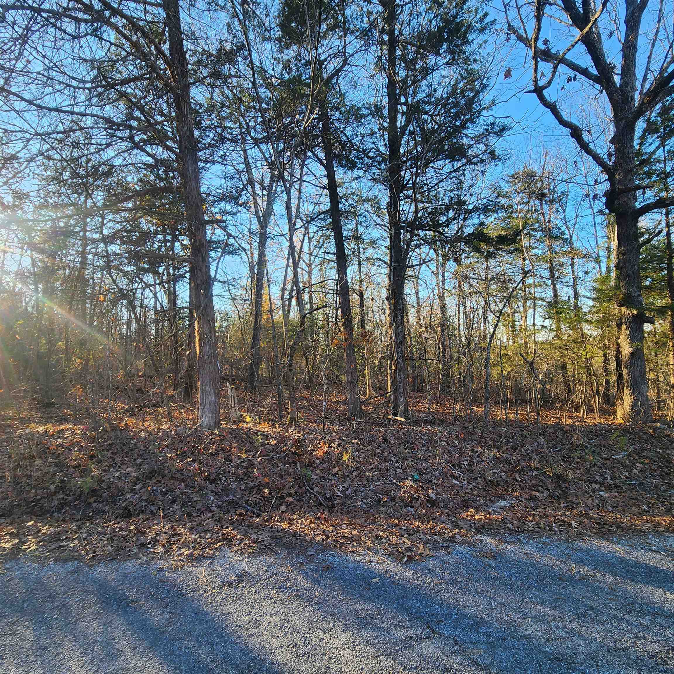 Photo 5 - Vacant Land for sale – 1505  Riverview   Horseshoe Bend, AR