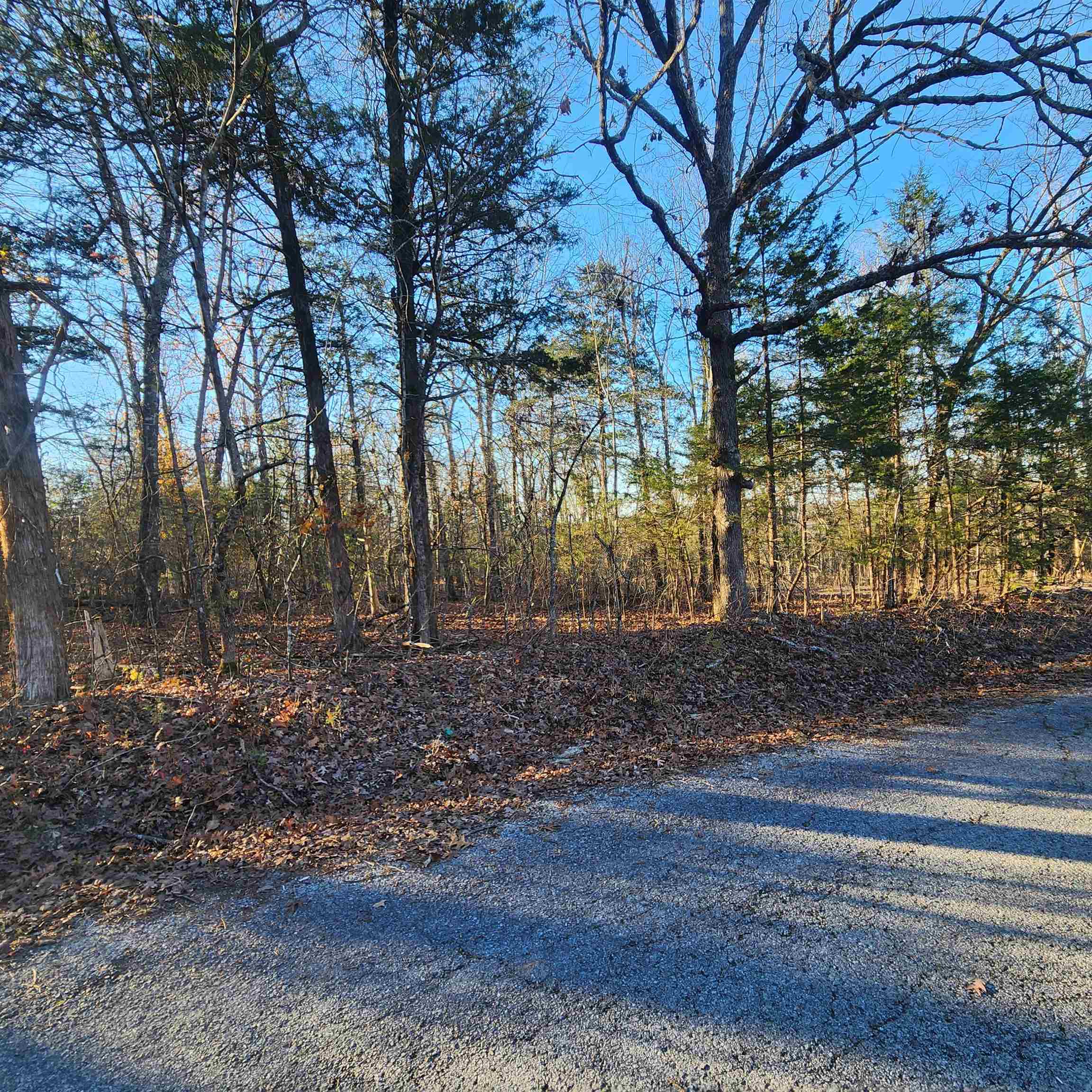Photo 6 - Vacant Land for sale – 1505  Riverview   Horseshoe Bend, AR